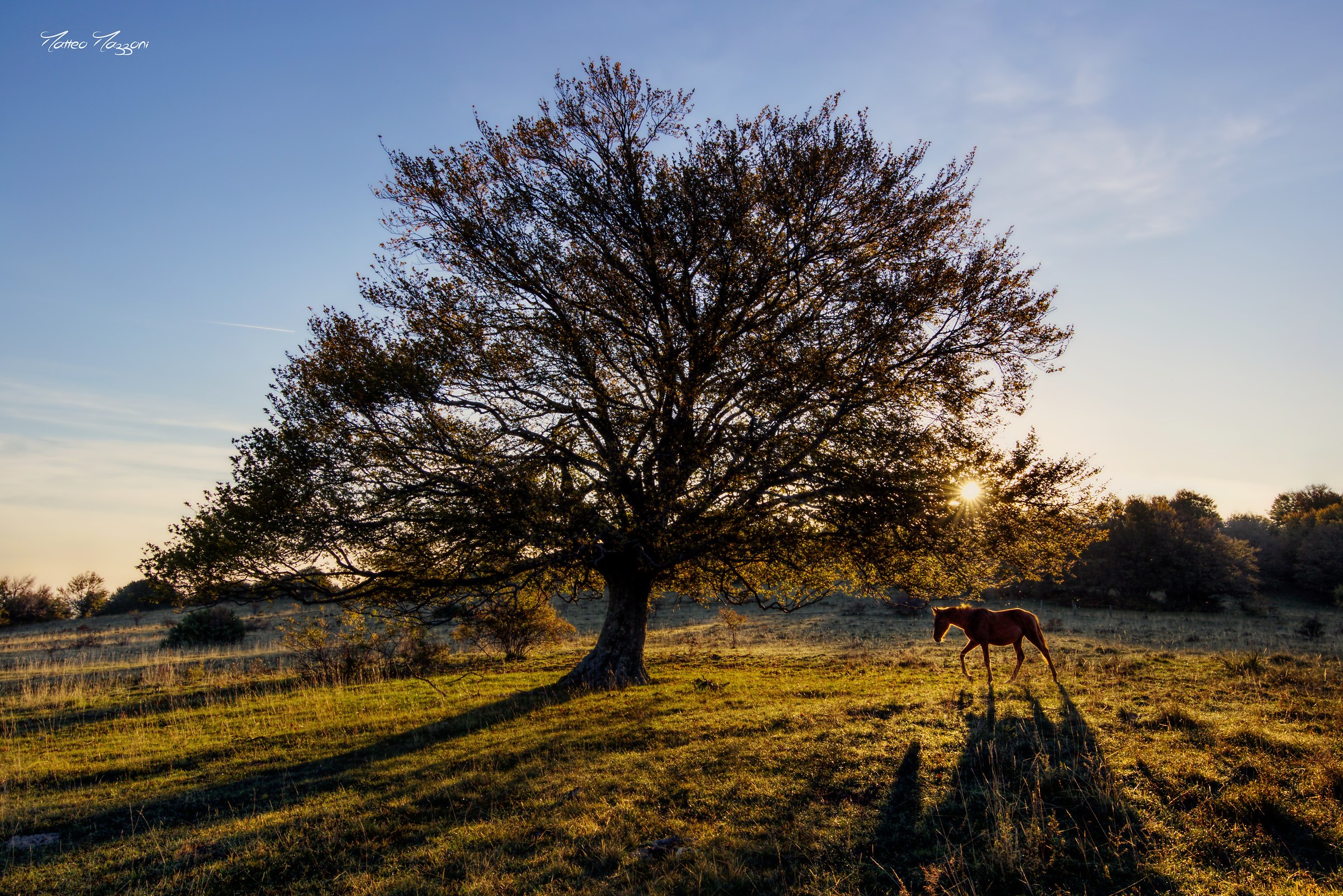 passeggiata all'alba