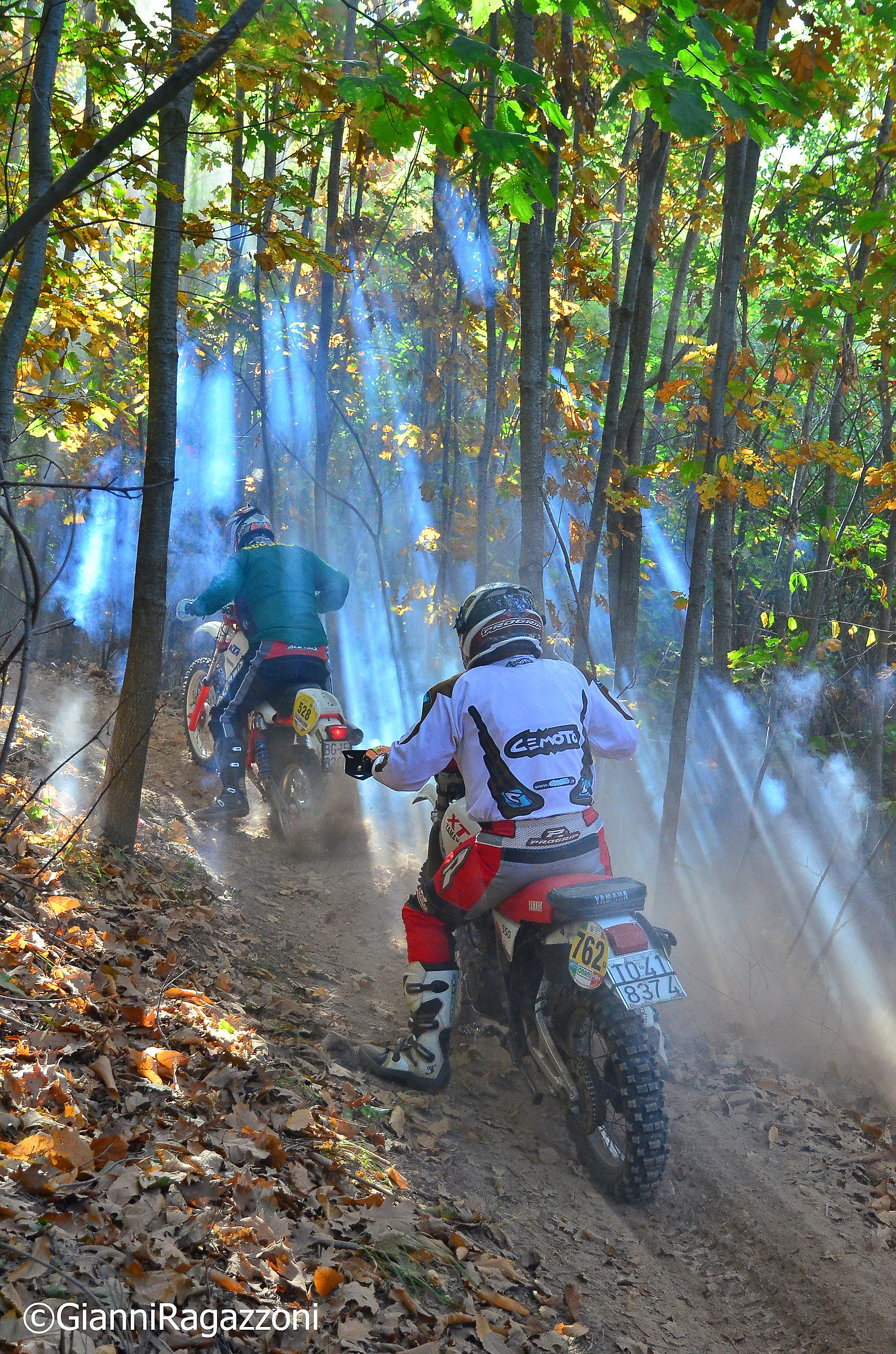 Presenze aliene.....