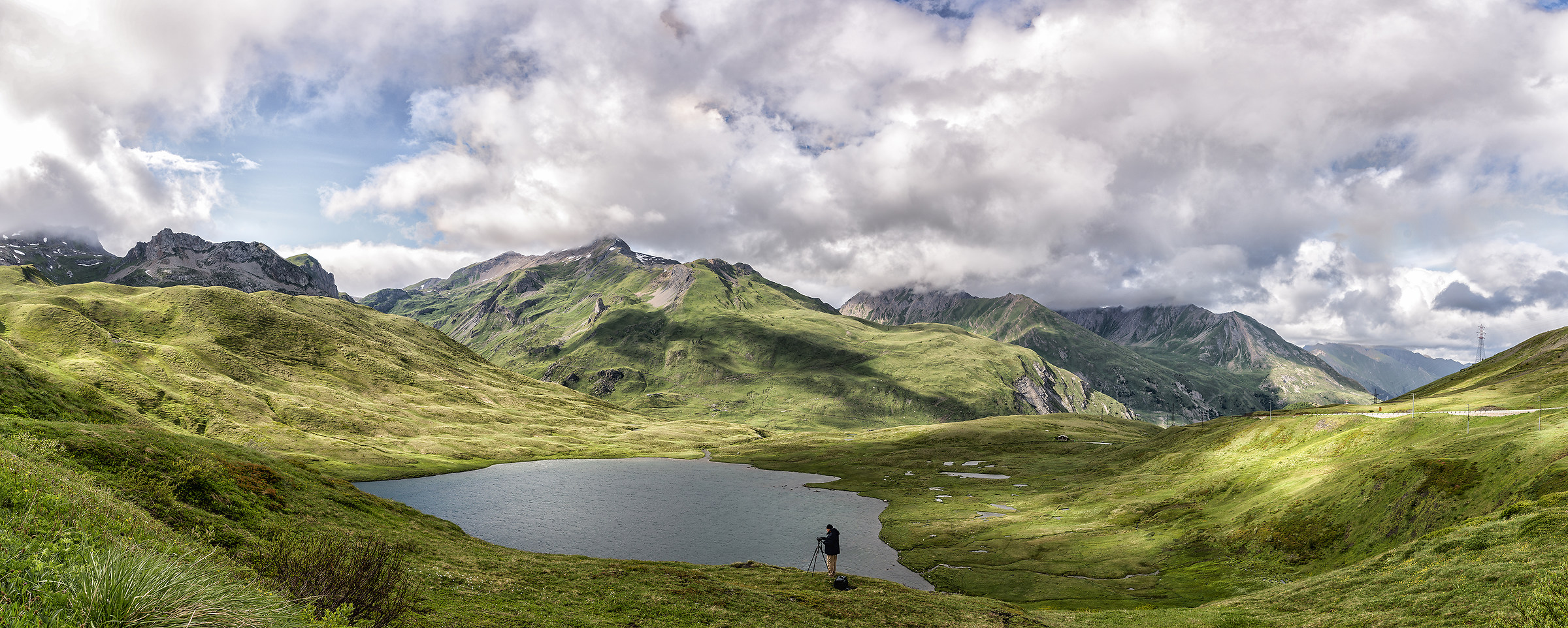 Small St. Bernard - Overview