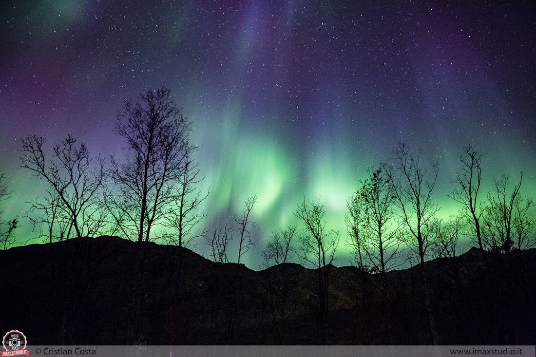 Strange lights above my head
