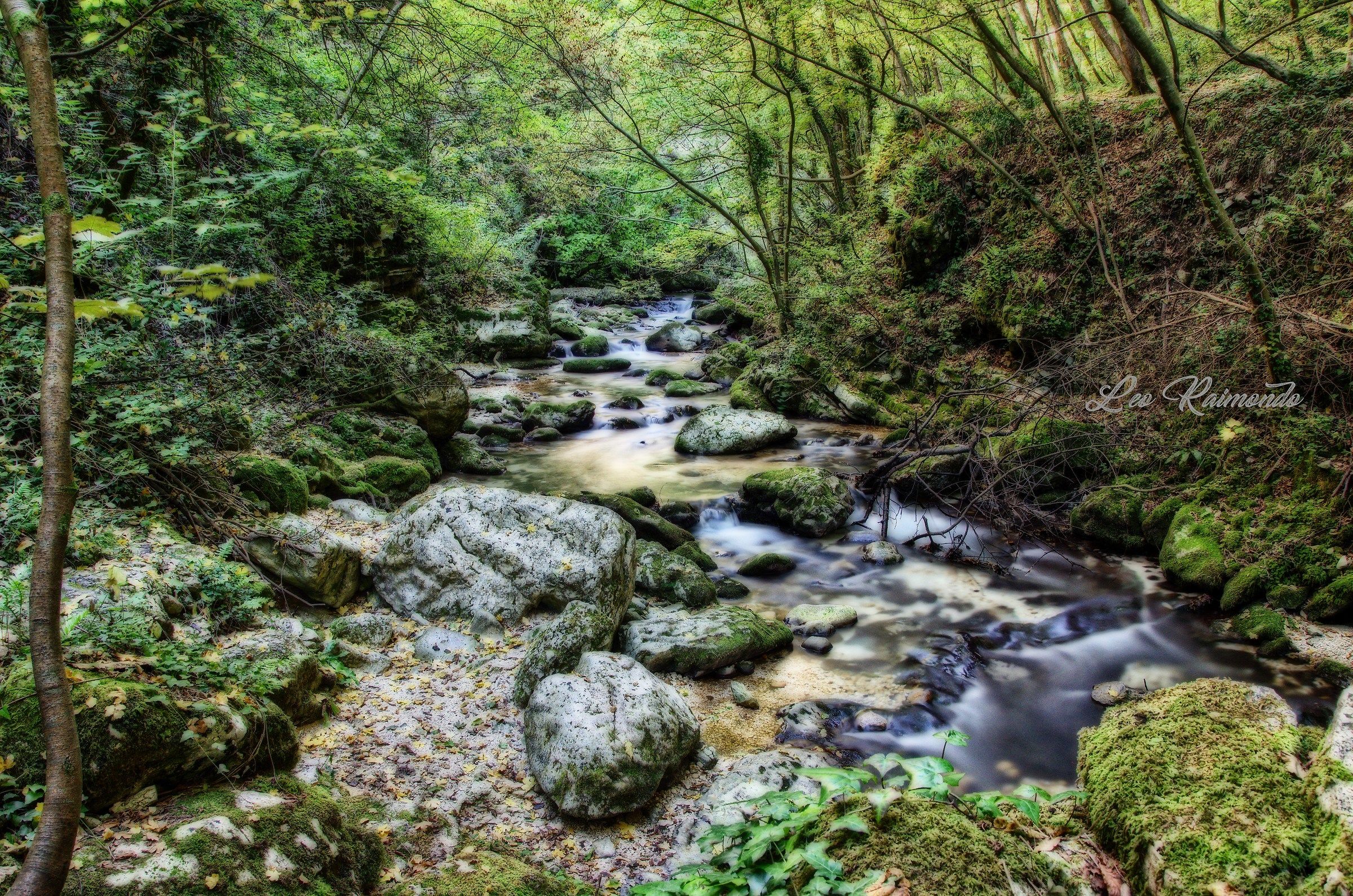 Once upon a time, in an enchanted forest ...