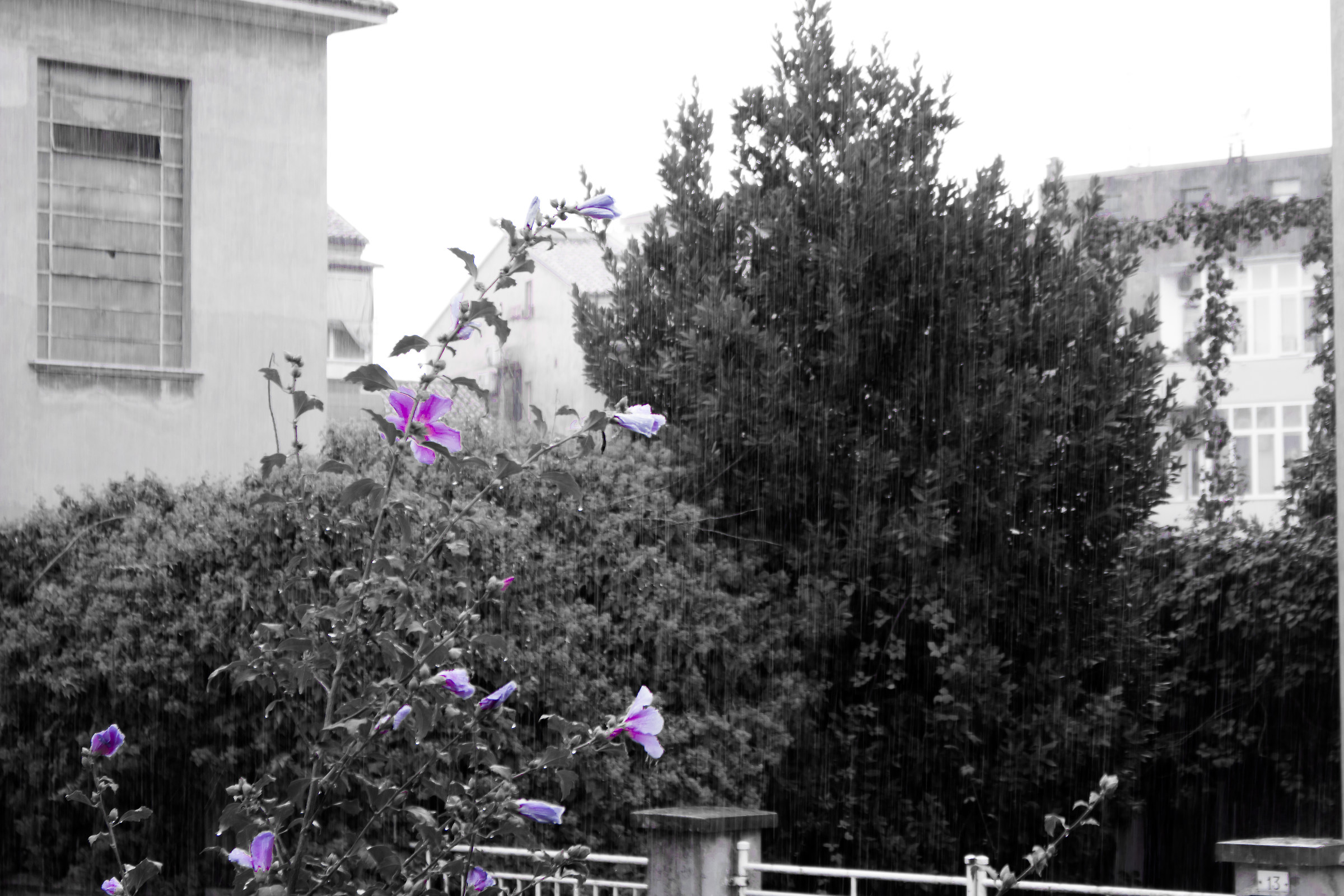 Prima pioggia autunnale