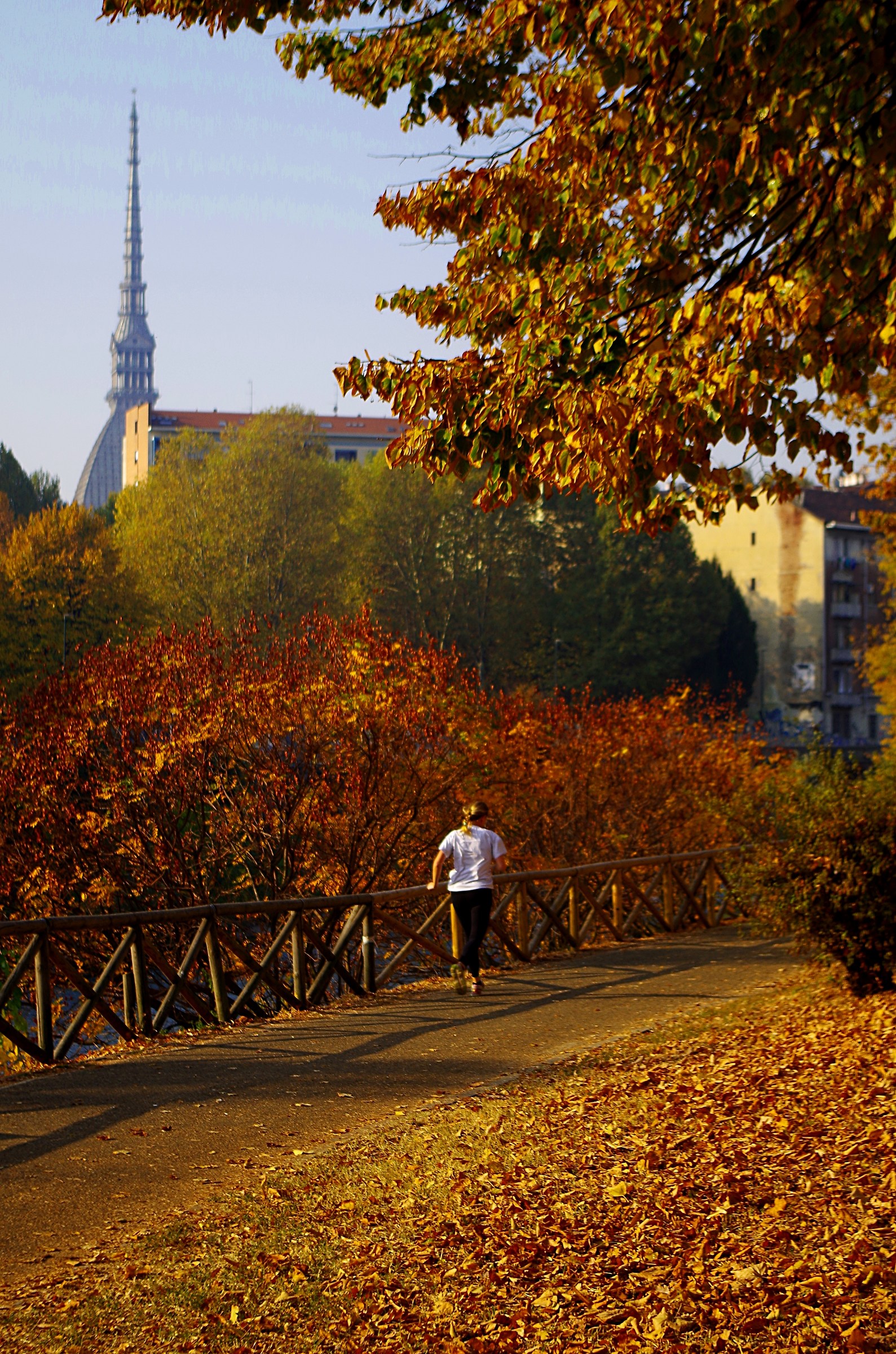 Di corsa a Torino
