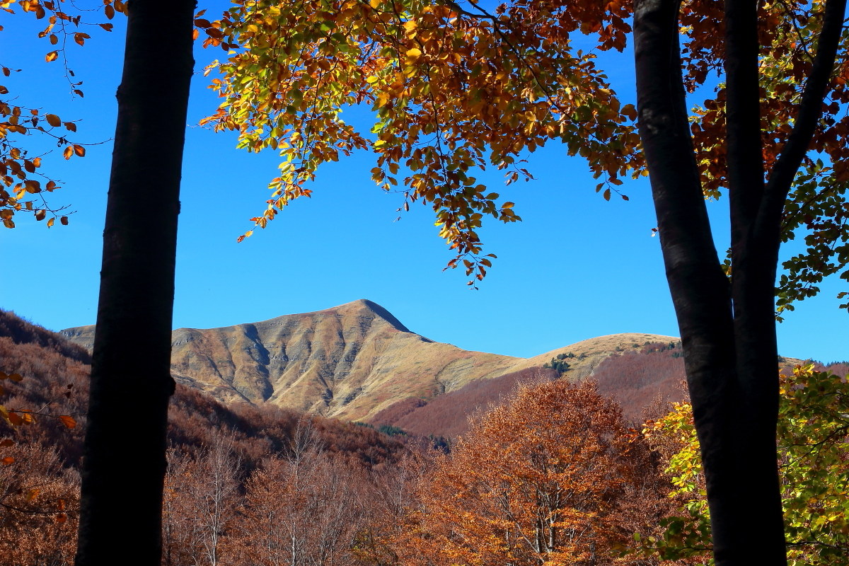Postcard from the Emilian Apennines