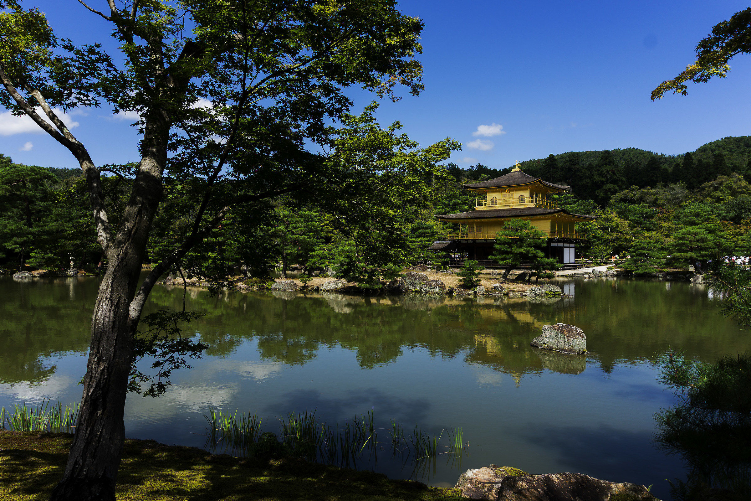 Kinkaku-ji