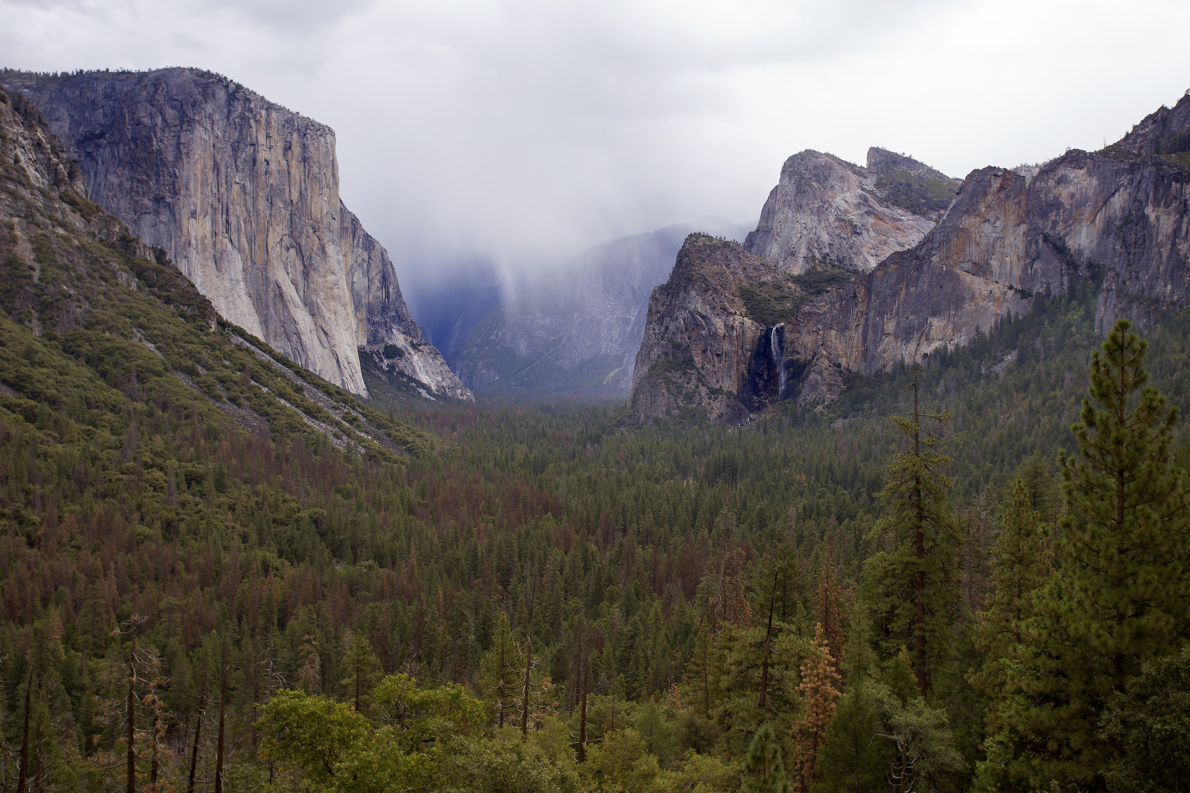 Yosemite National Park
