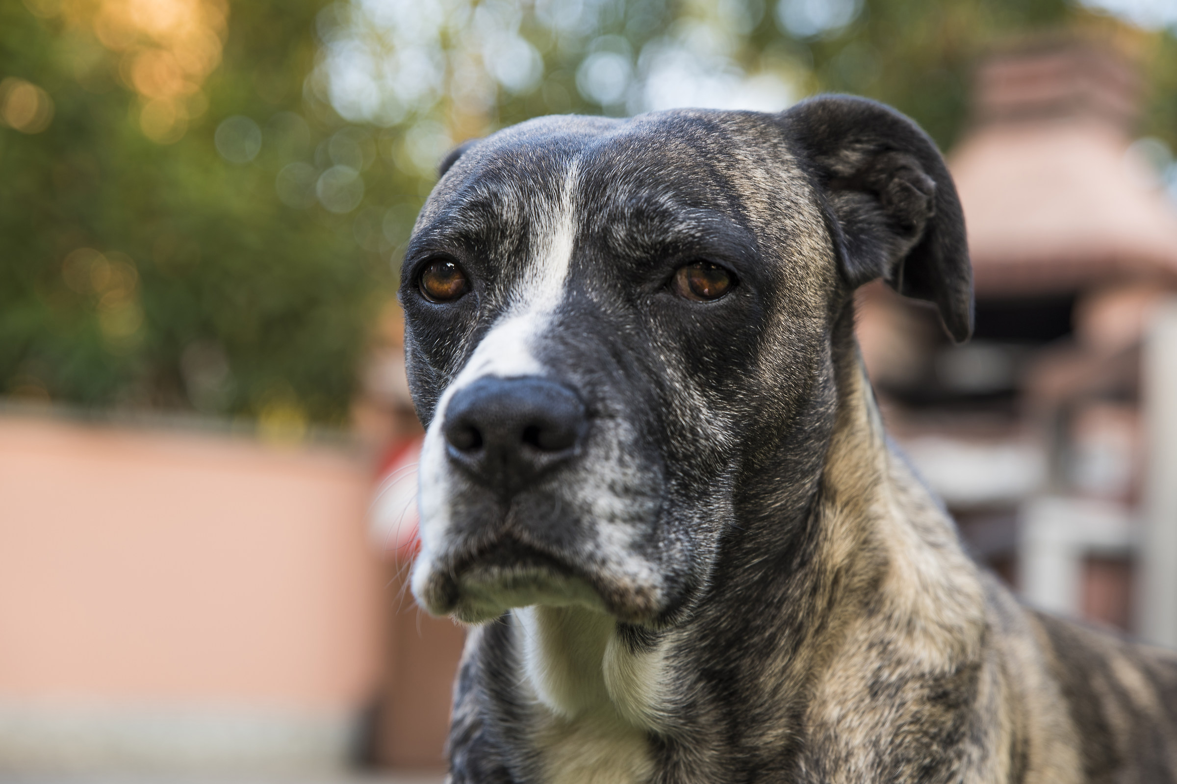 Yuna ... bokeh test 24-70 G2