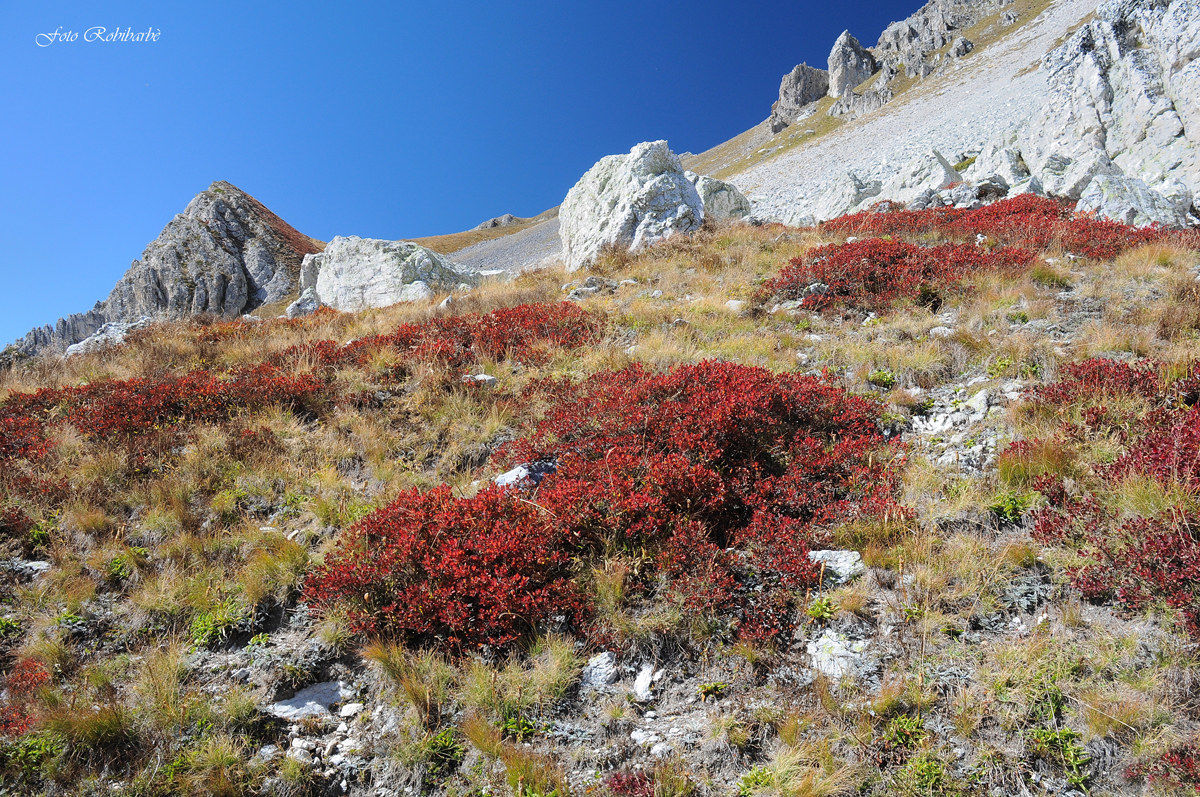 In Autumn Up there ...