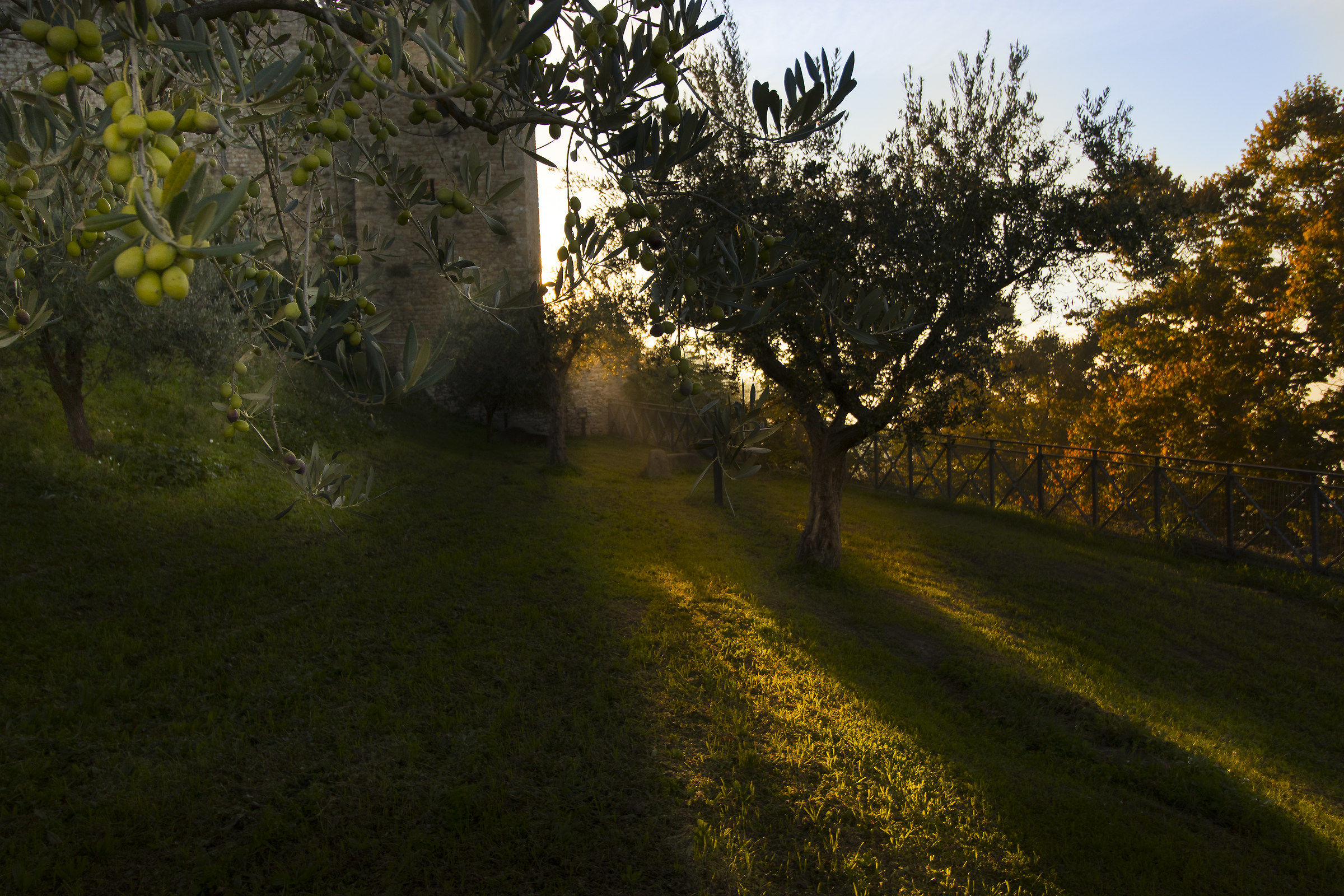 Gli ultimi raggi sulla campagna