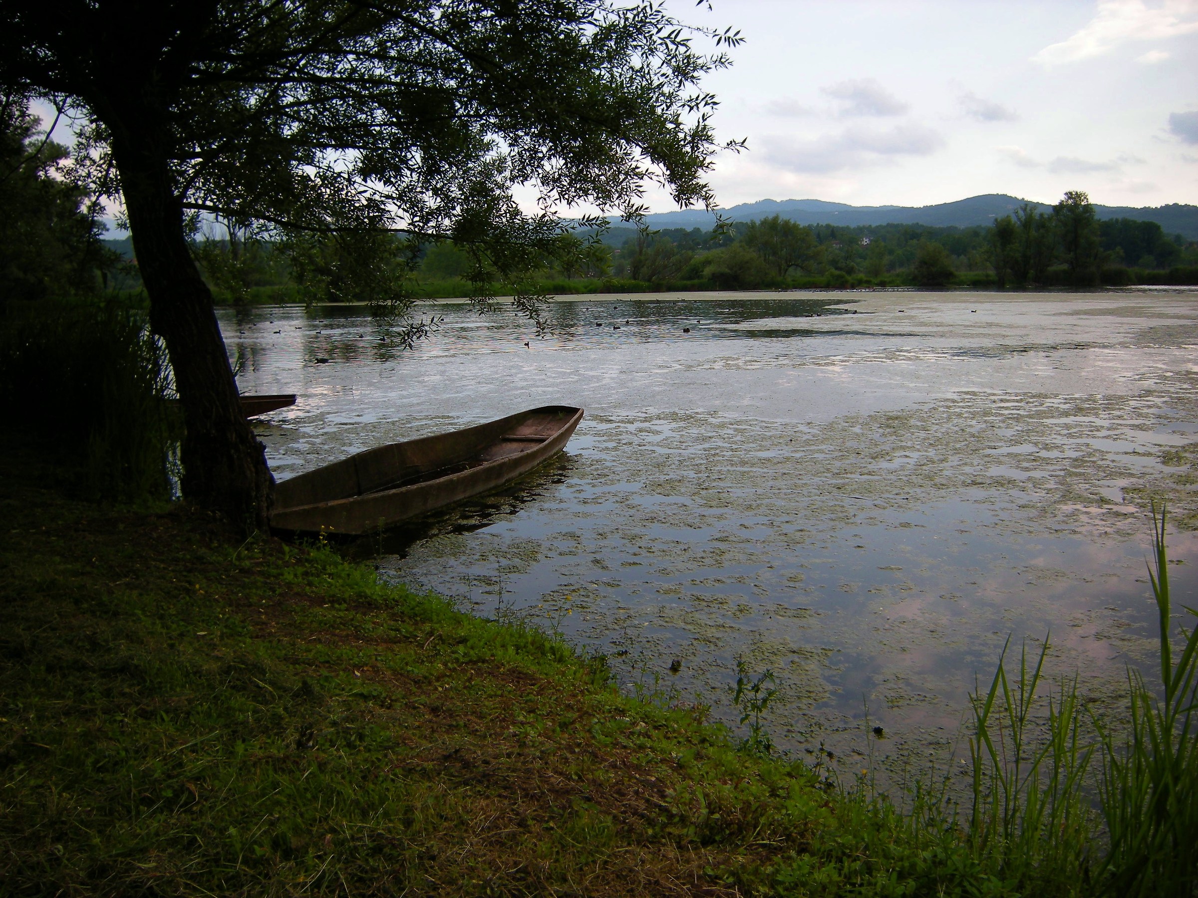 Fibreno Lake (fr)
