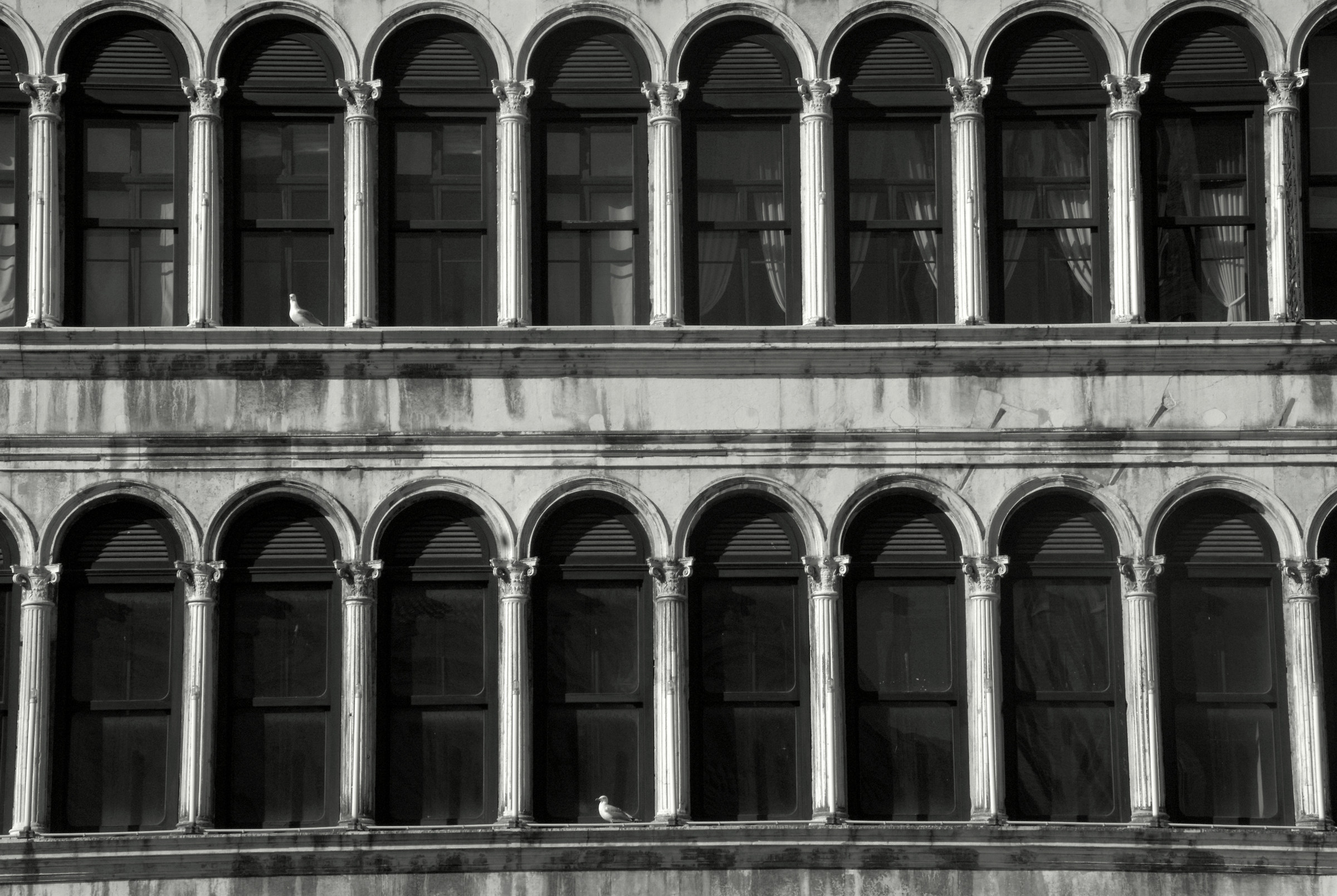 Sei la finestra a volte verso cui indirizzo parole