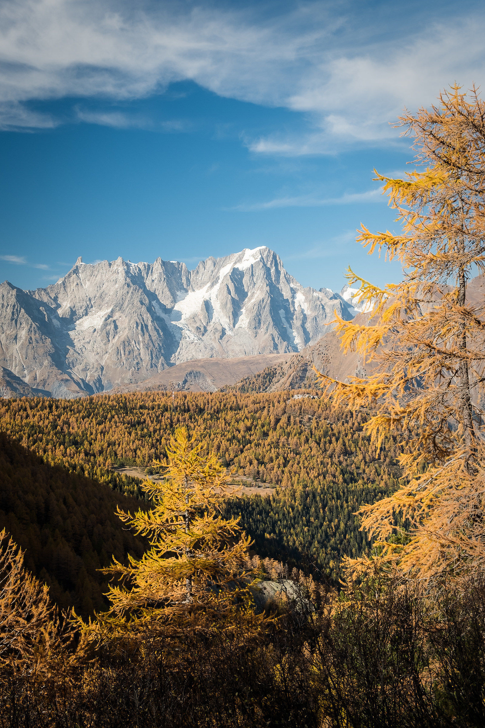 Les Grandes Jorasses, vestito autunnale
