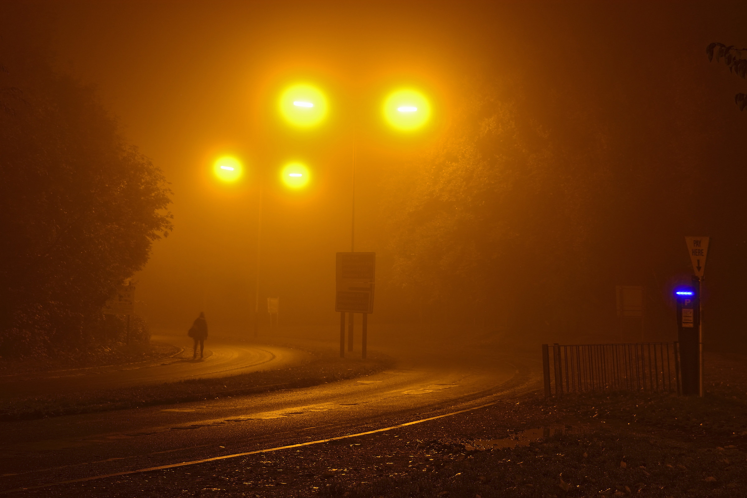 Camminando per camminare nella nebbia 5.40