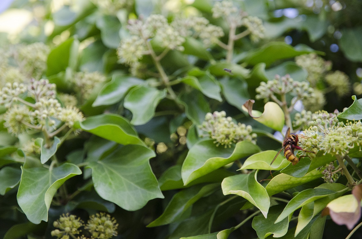 Ssssst... stò lavorando