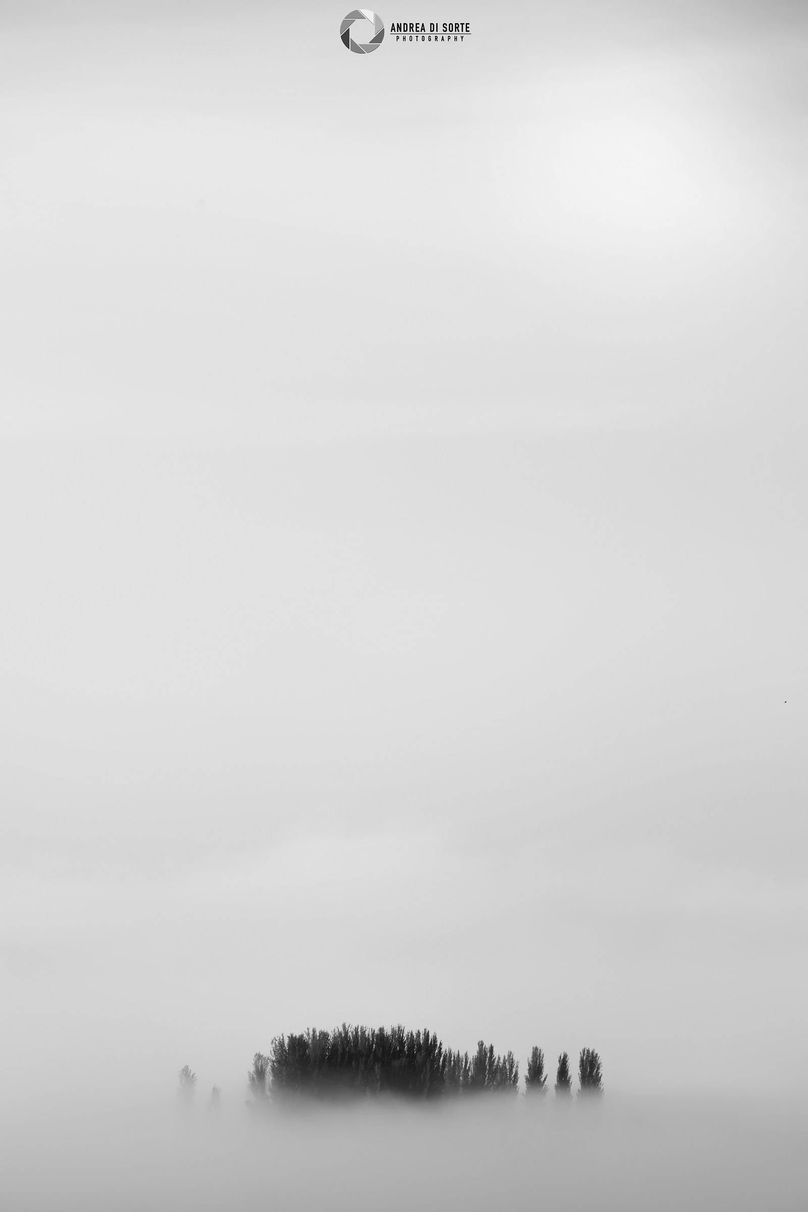 The lake of Bolsena, yes!