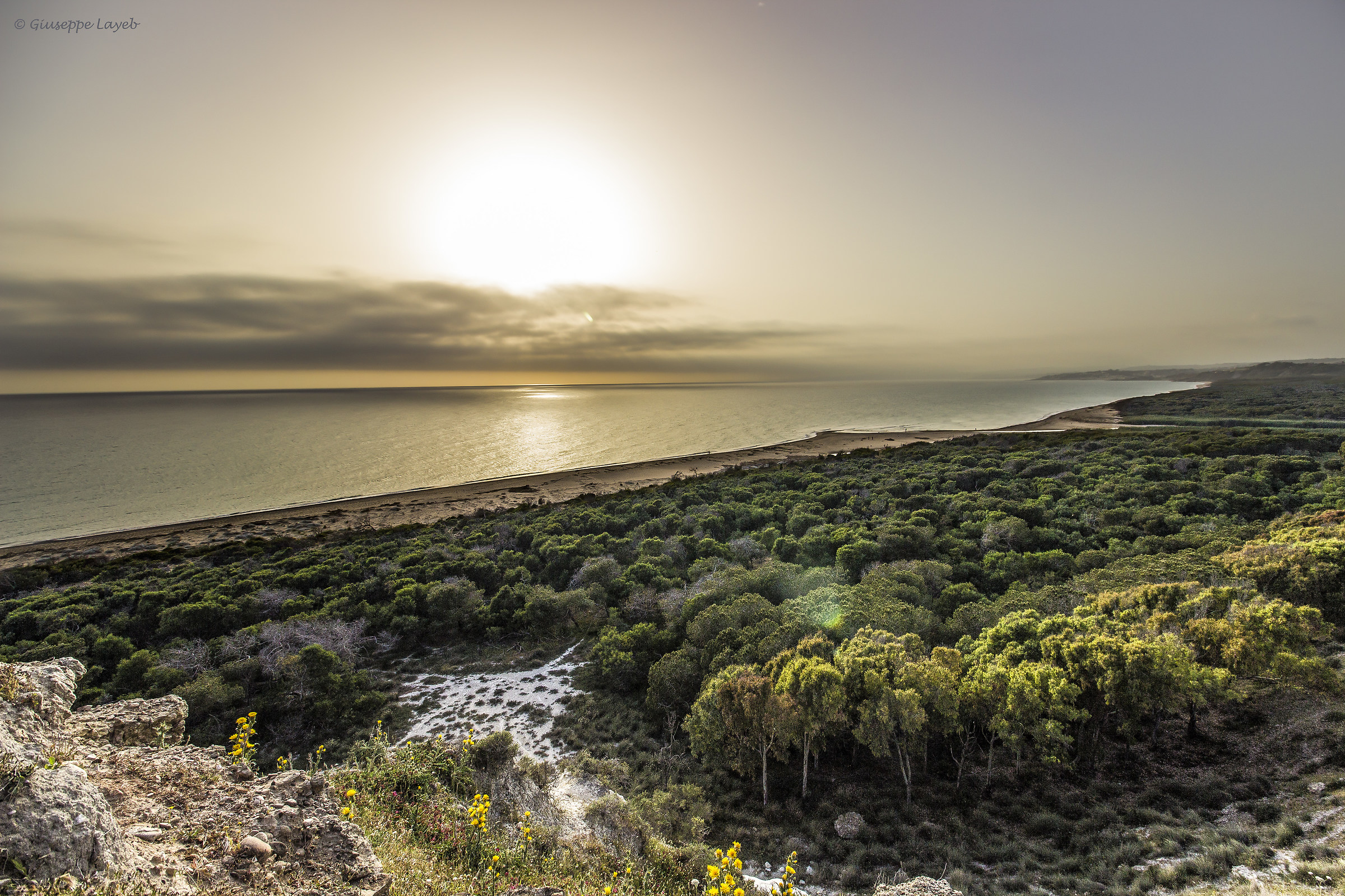 Foce del fiume platani