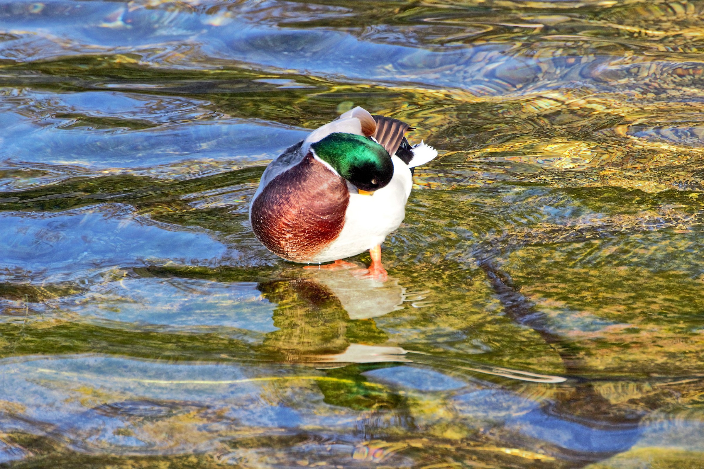 This morning ok we do some cleaning