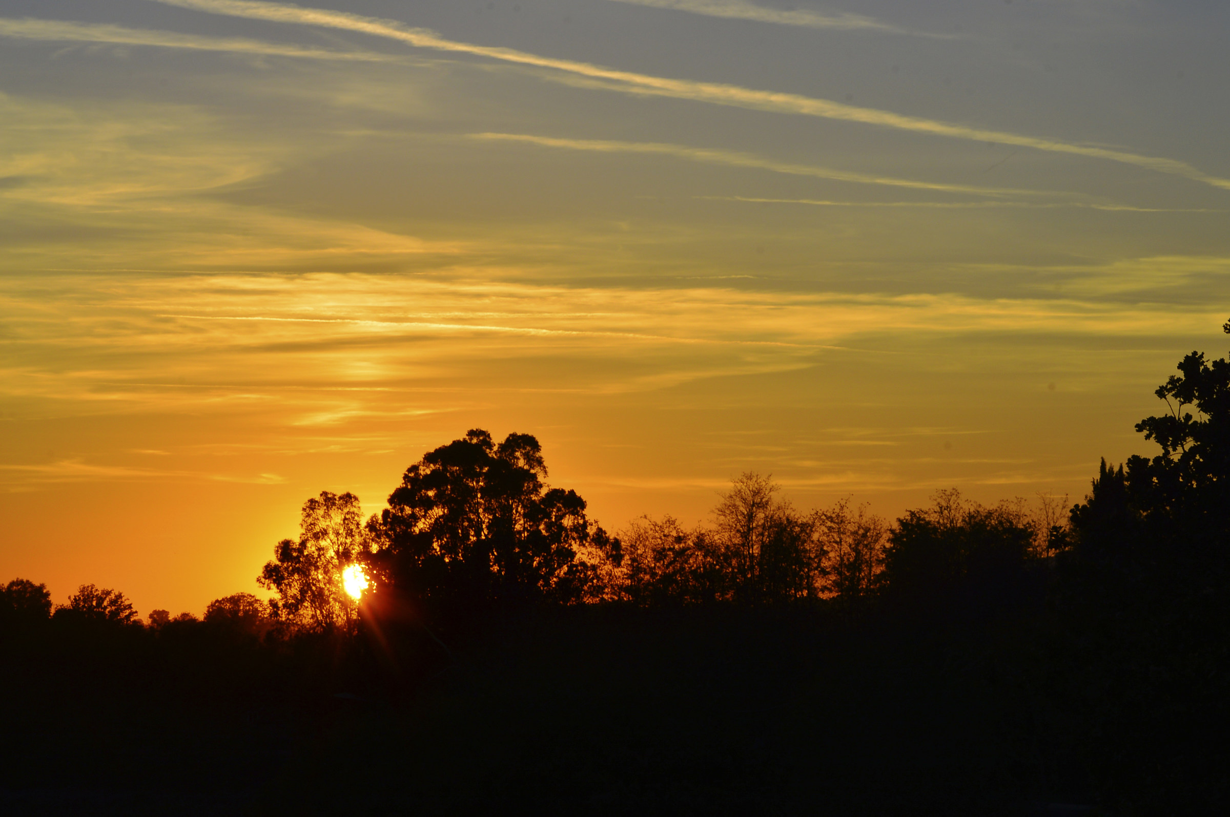 silences and autumn colors
