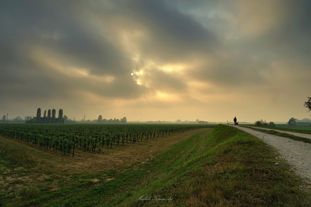 sole che ingiallisce la nebbia