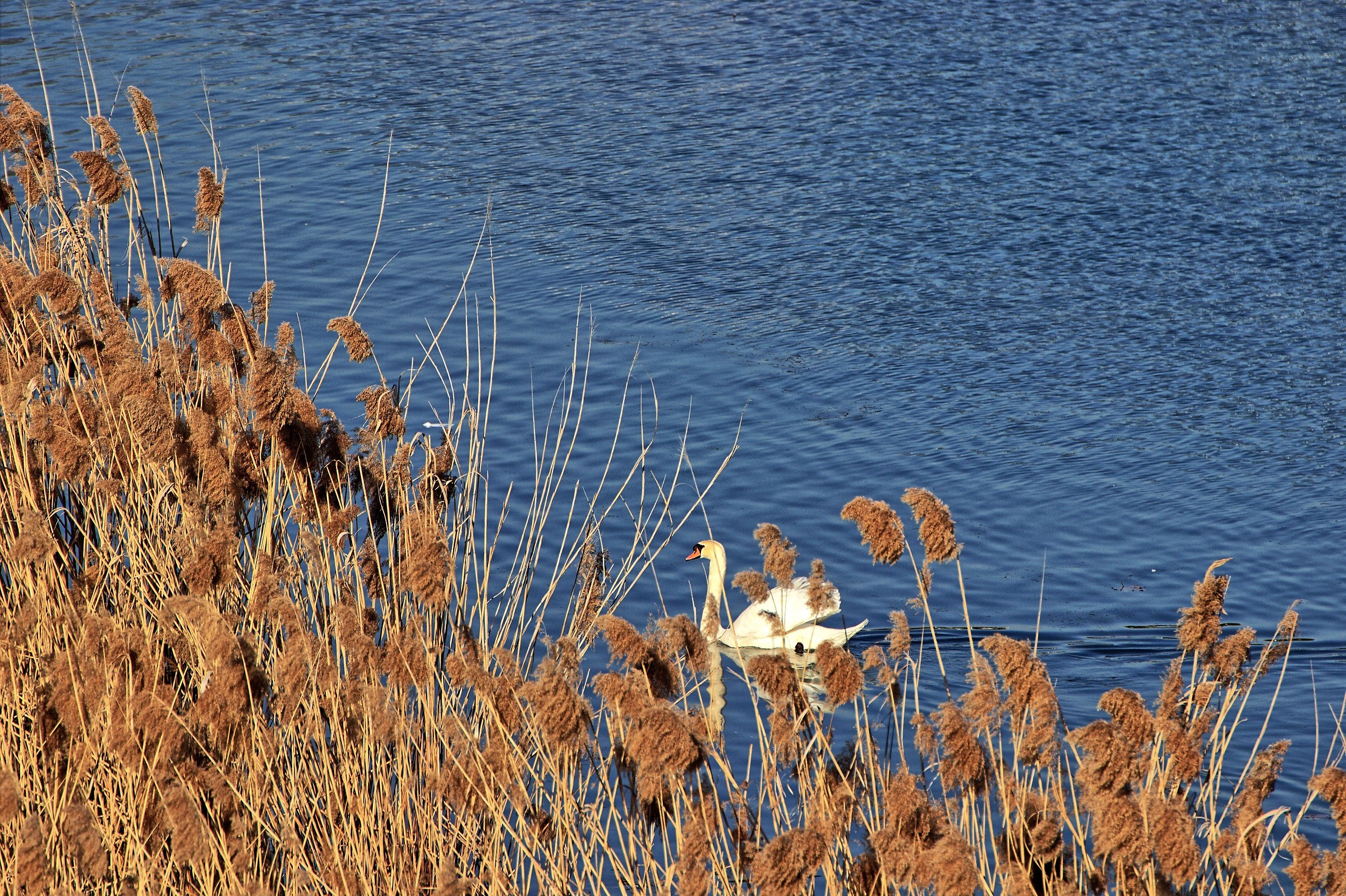 If you wait for a moment you will not see me again!