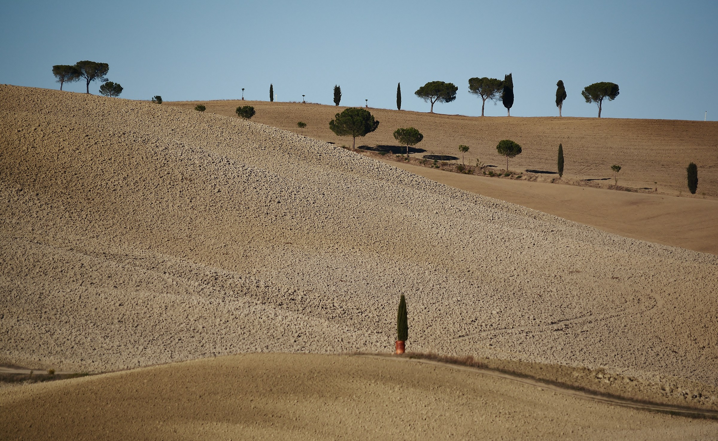Sentinelle autunnali