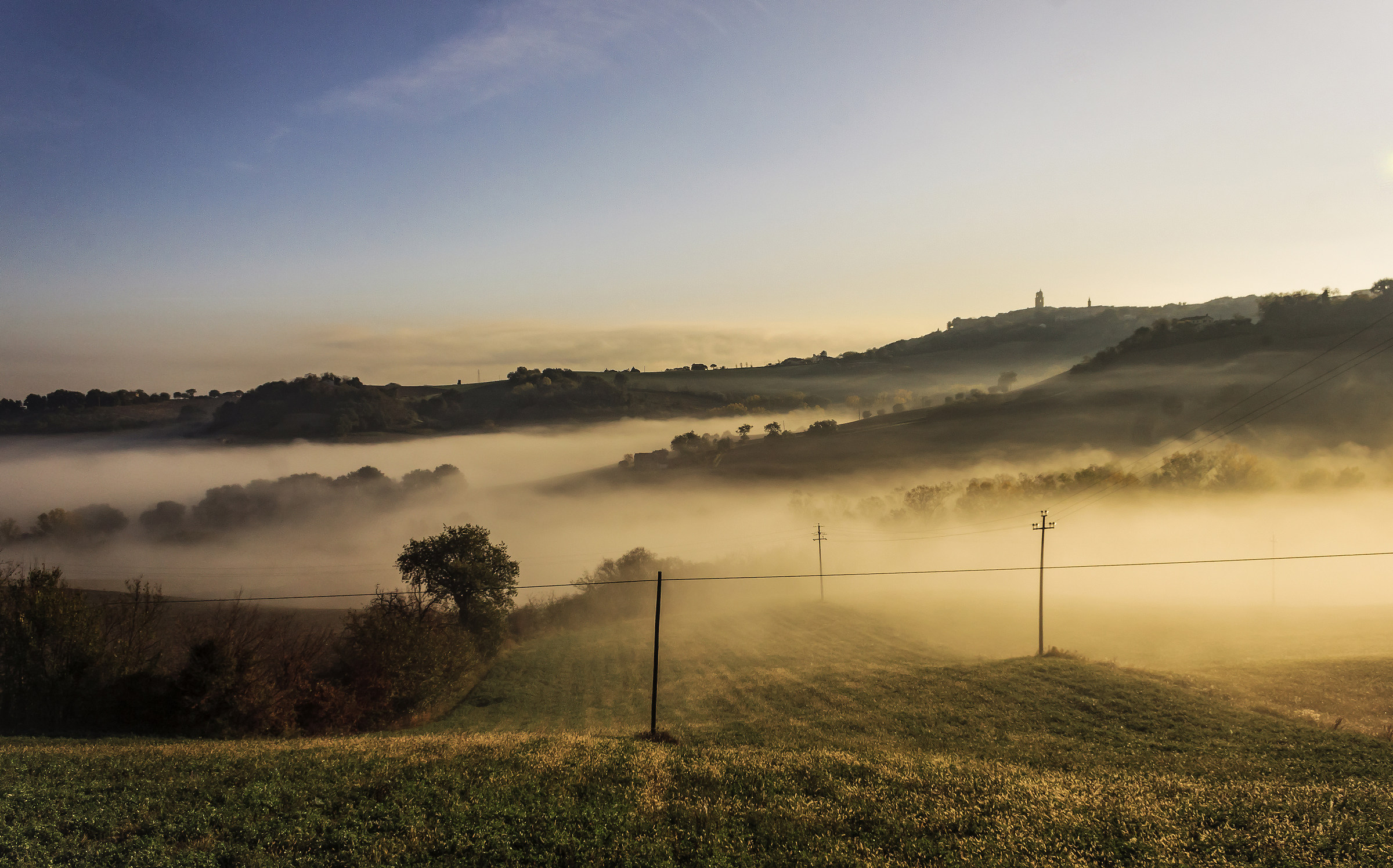 The fog of the morning
