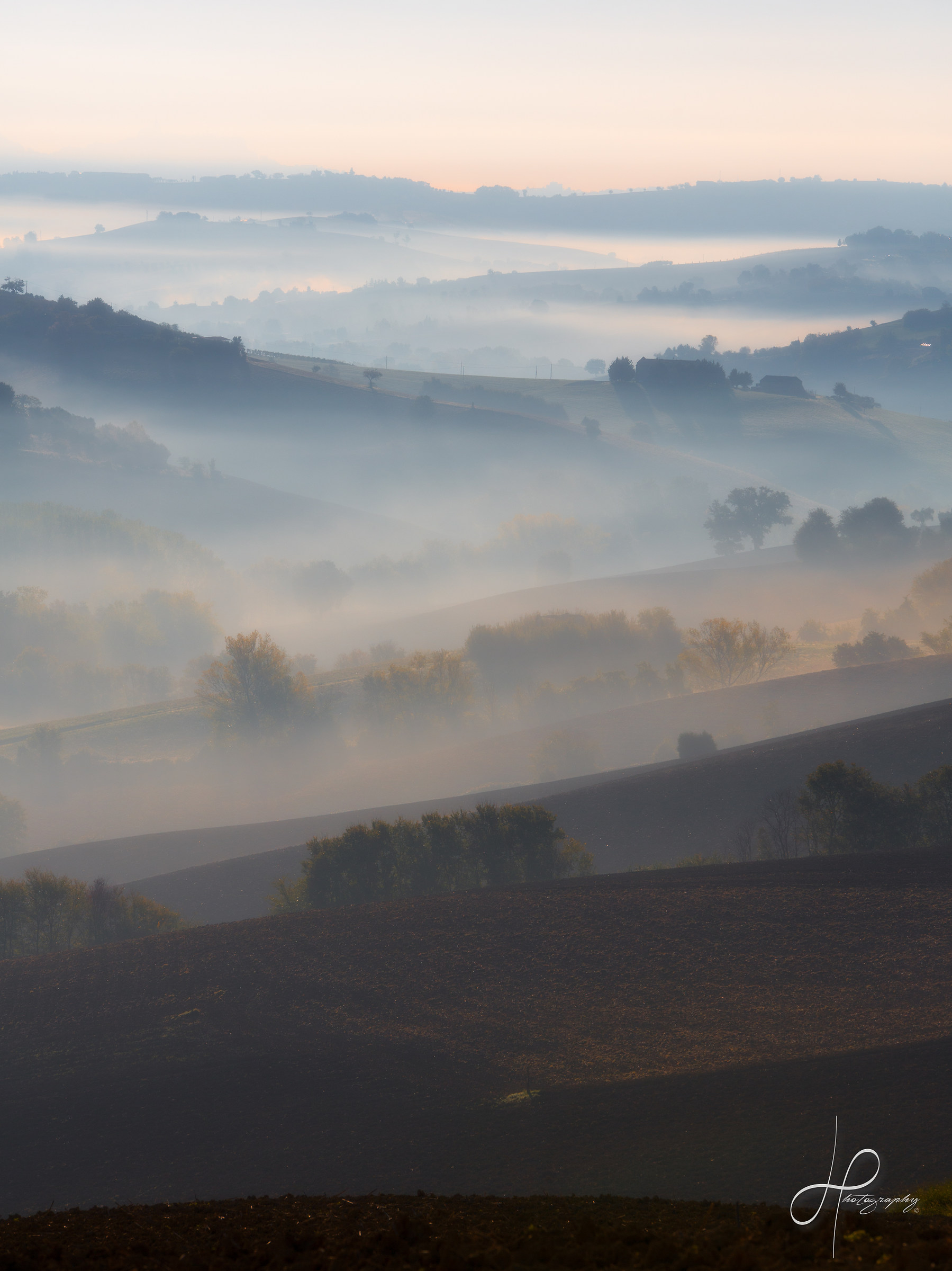 La nebbia del mattino