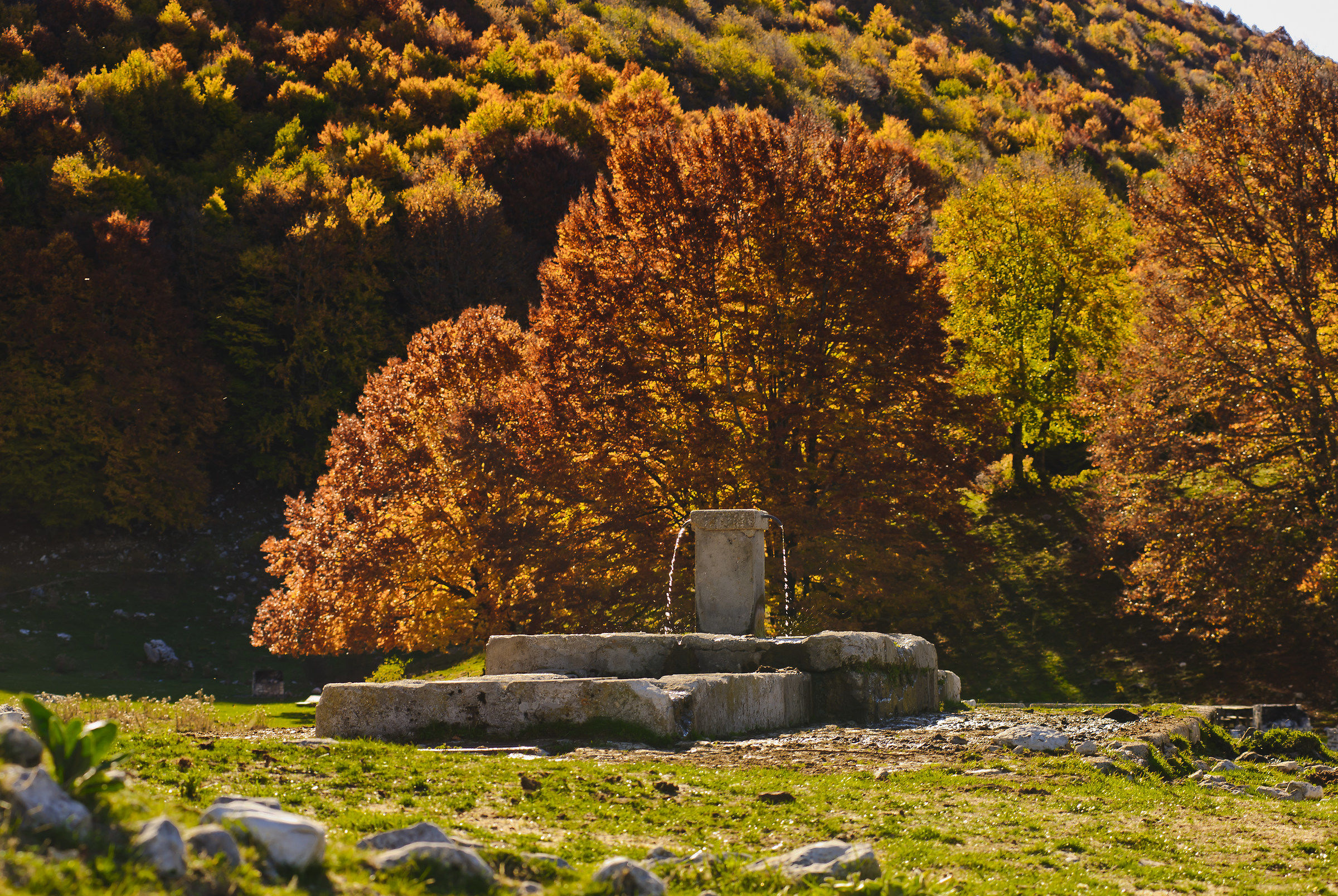 the autumn is thirsty