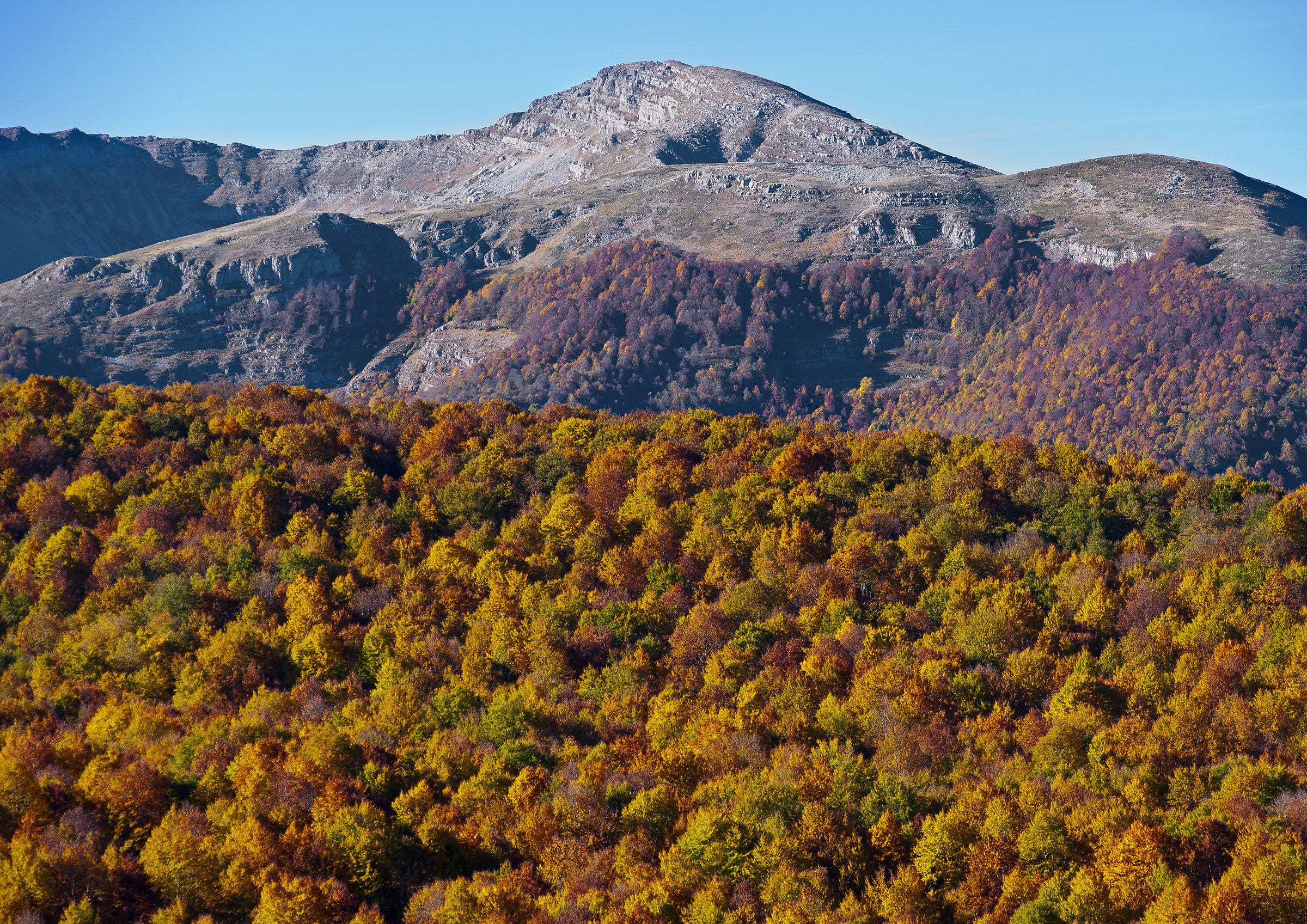 the colors of autumn
