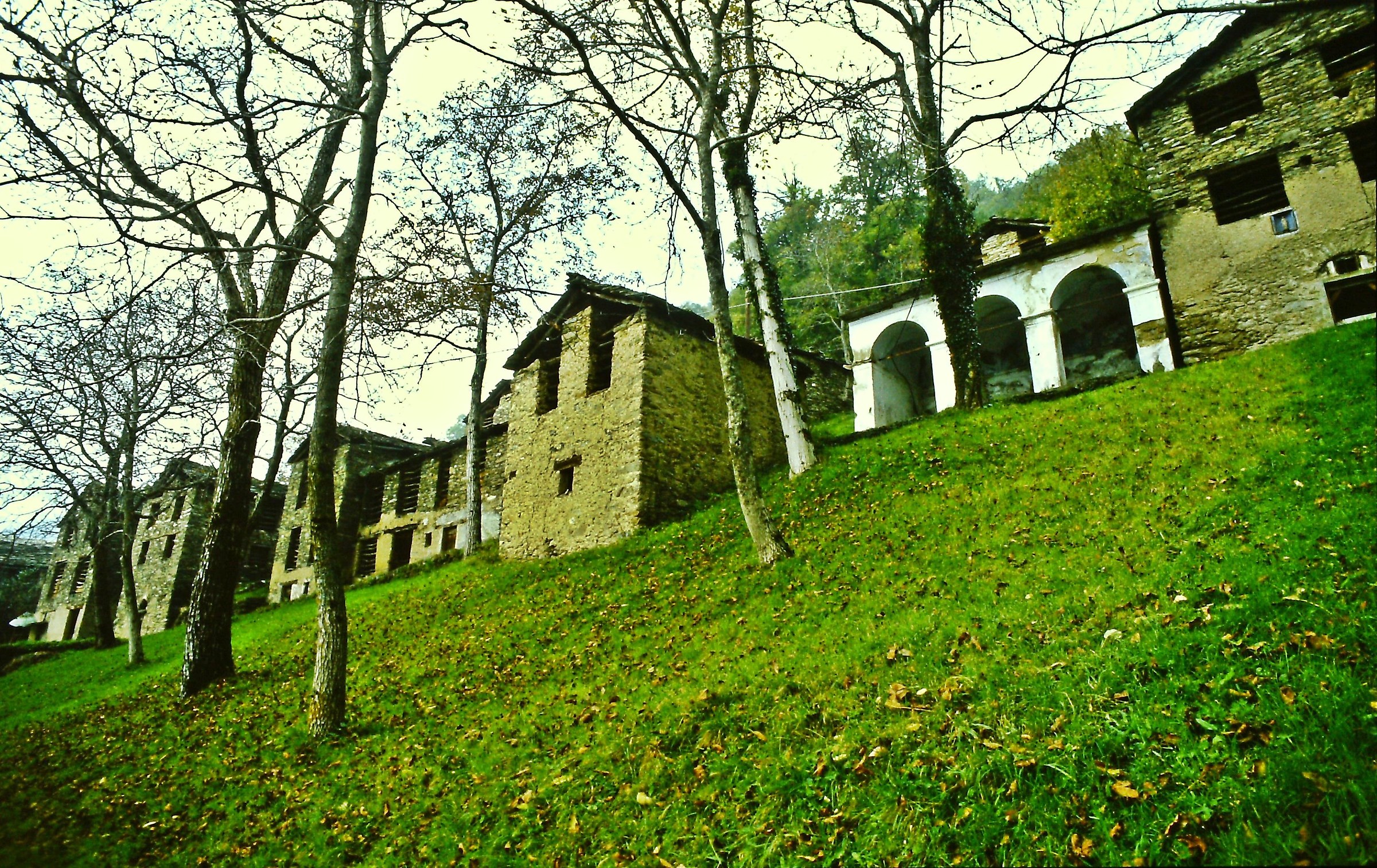 673 - living with chestnuts - LC Val Varrone