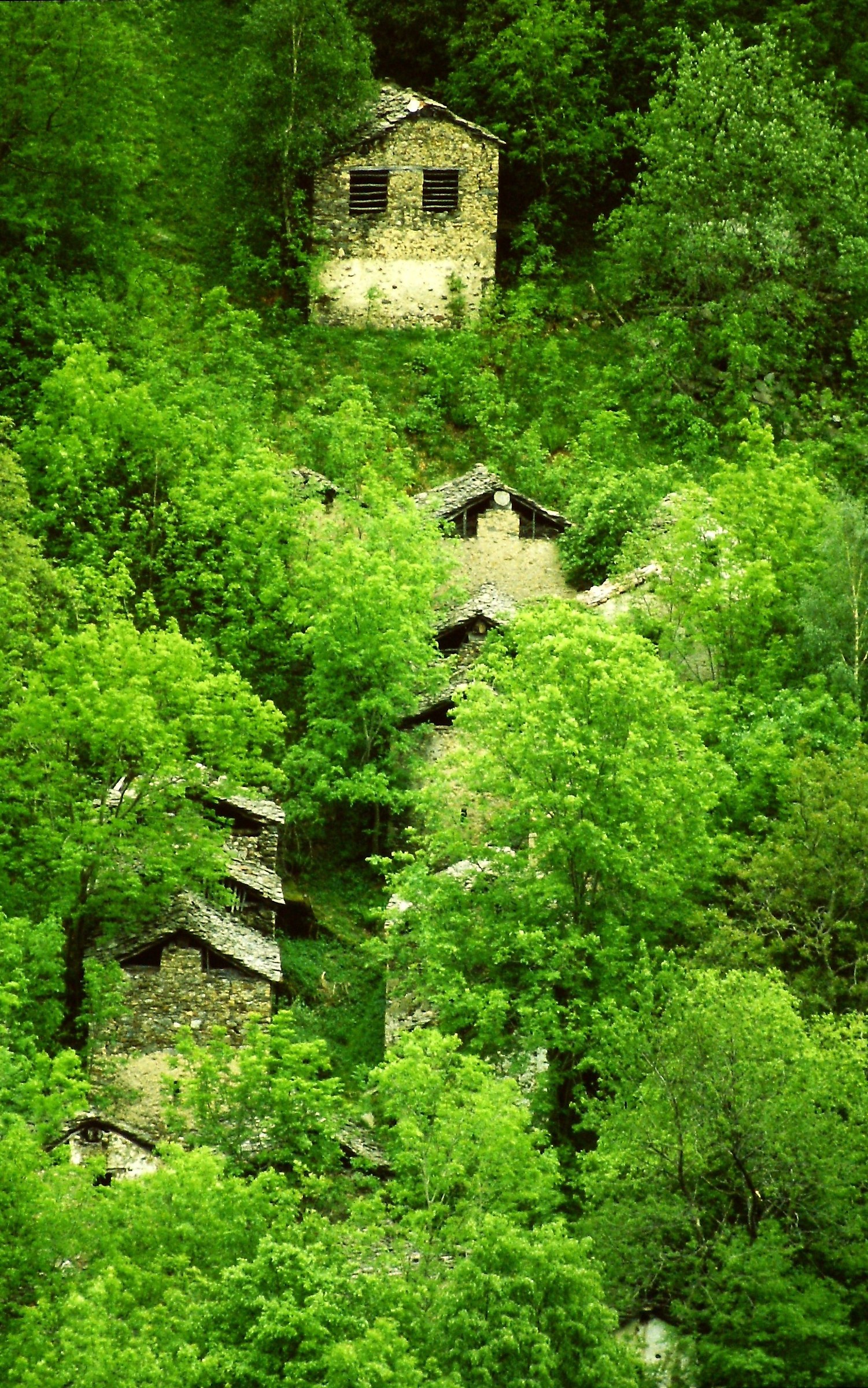 692 - the afa, this stranger - LC Val Varar