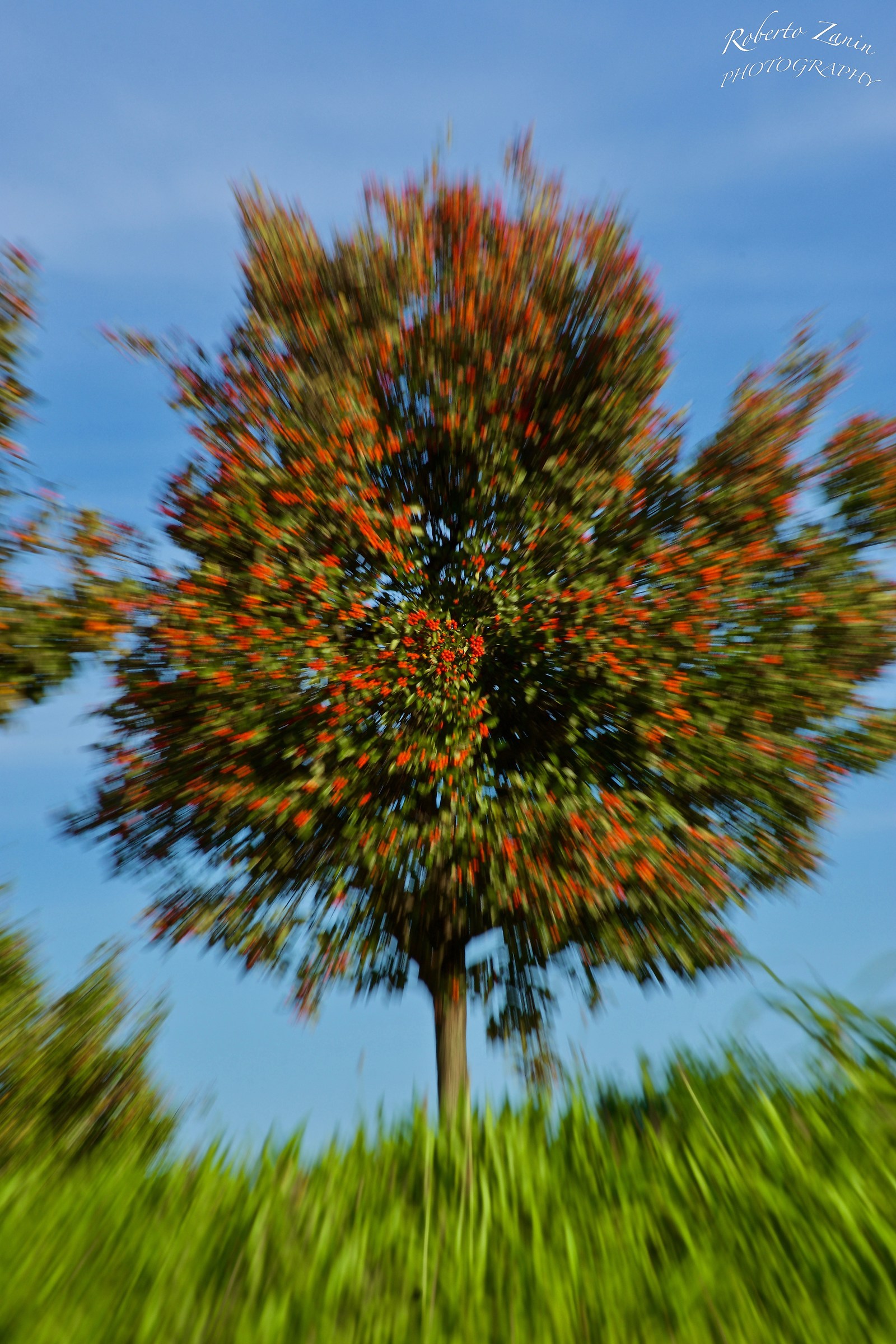 Esplosione autunnale