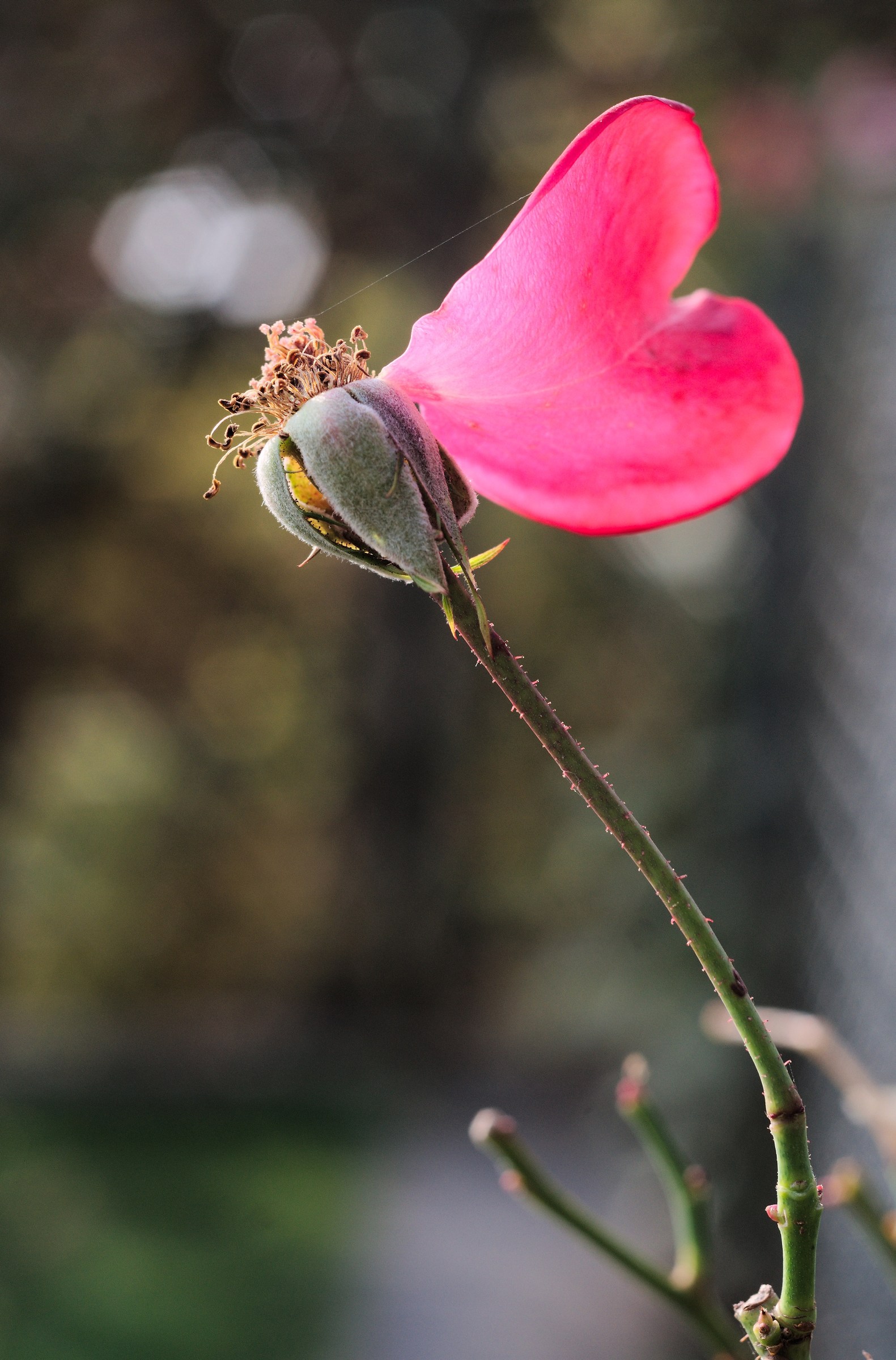 L'autunno dell'amore