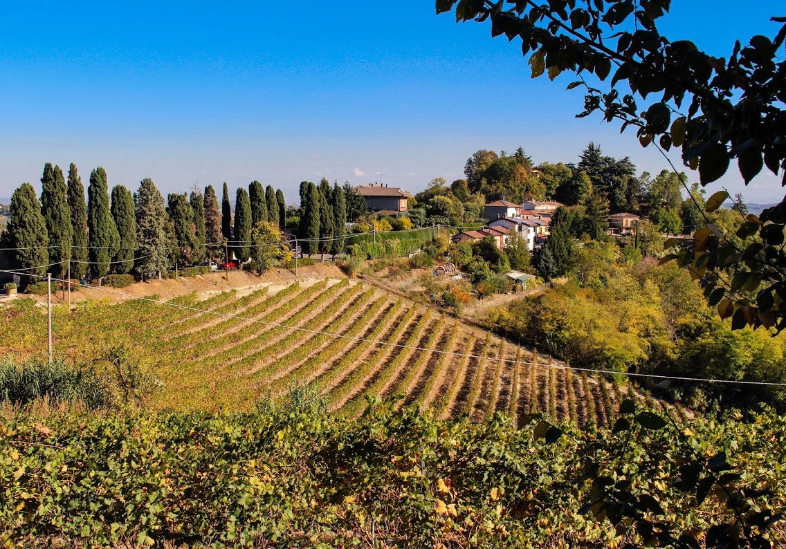 Rosignano monferrato