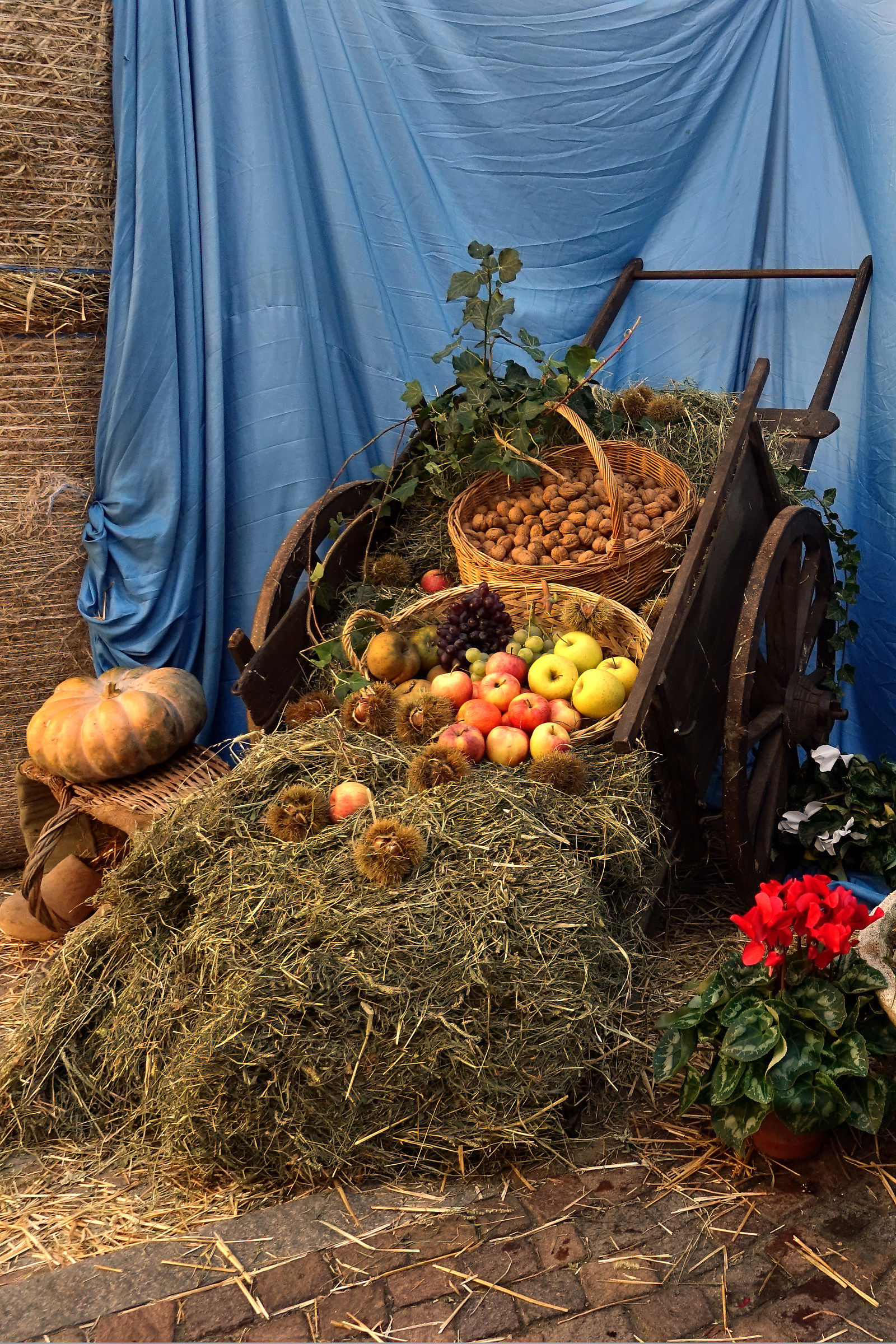 Beautiful, good and season