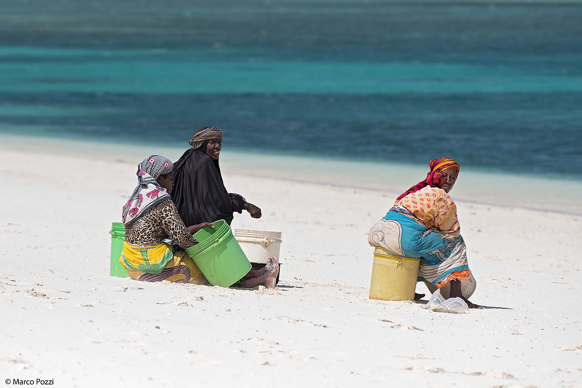Waiting for the fishermen