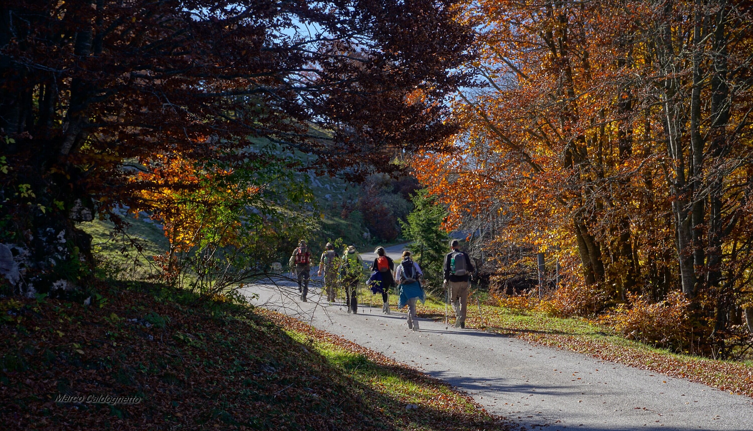 Escursione Autunnale in compagnia