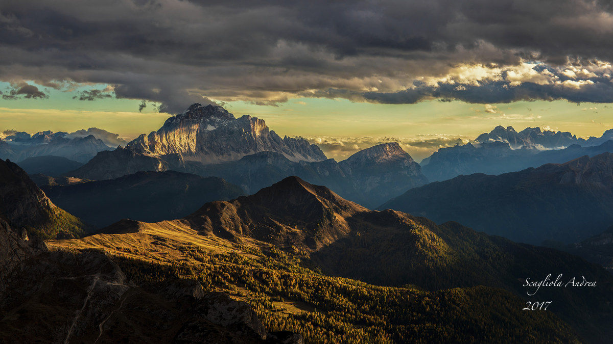 Owl between shadows and lights