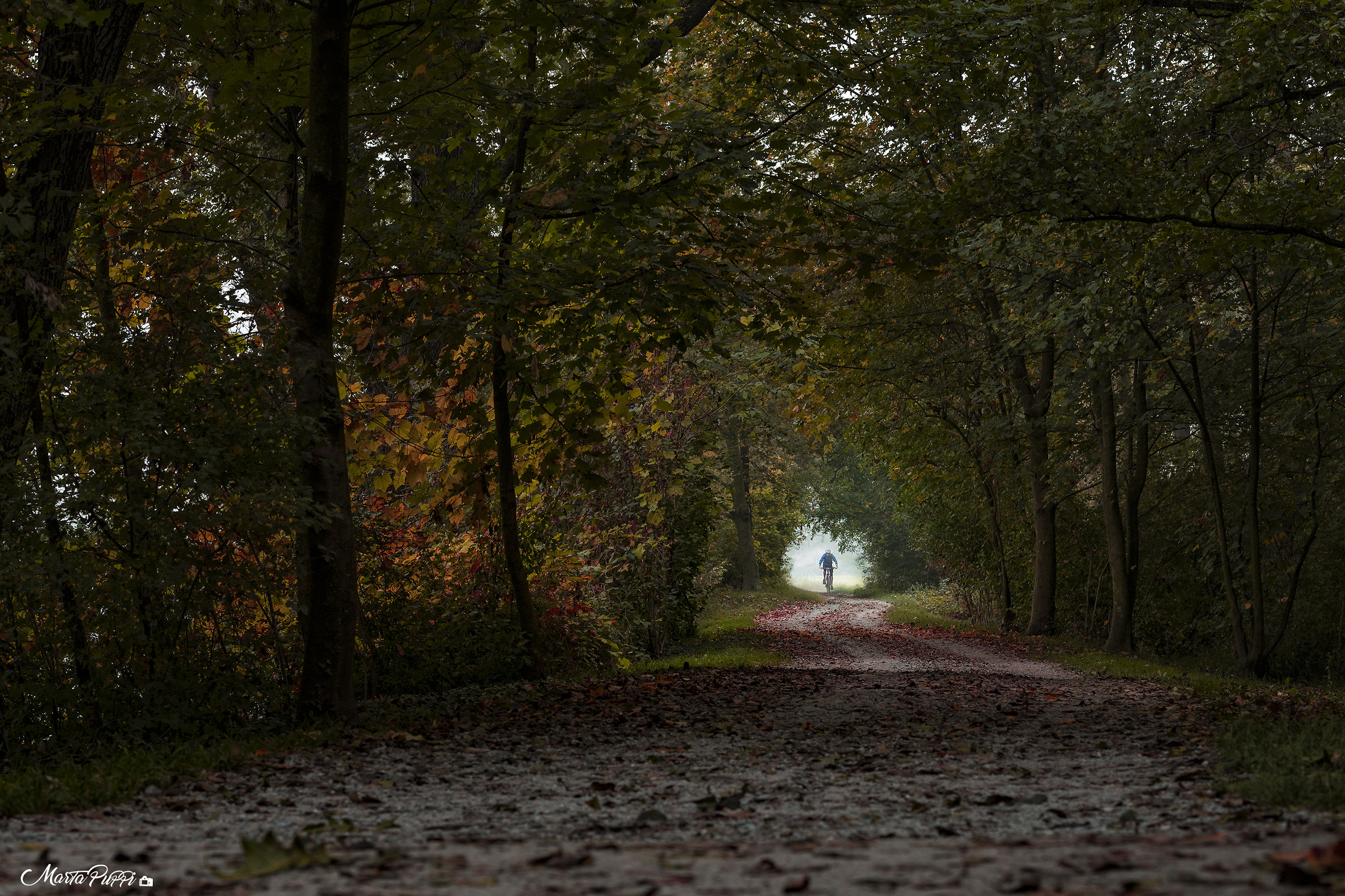 Leaf tunnel