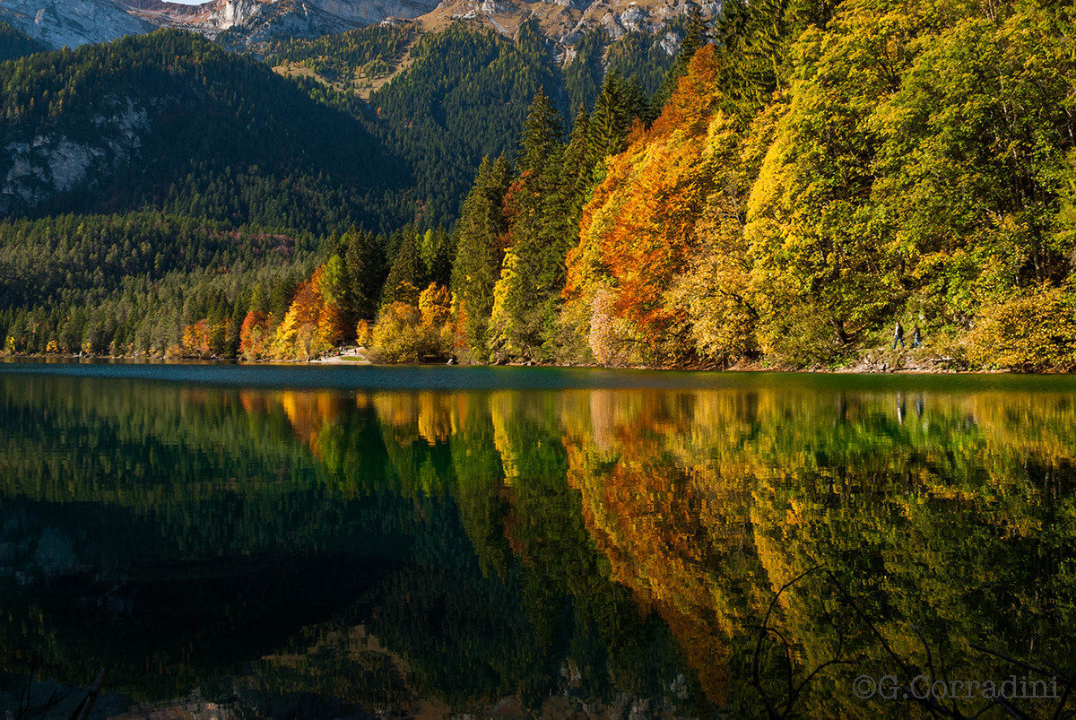 Come on in the autumn