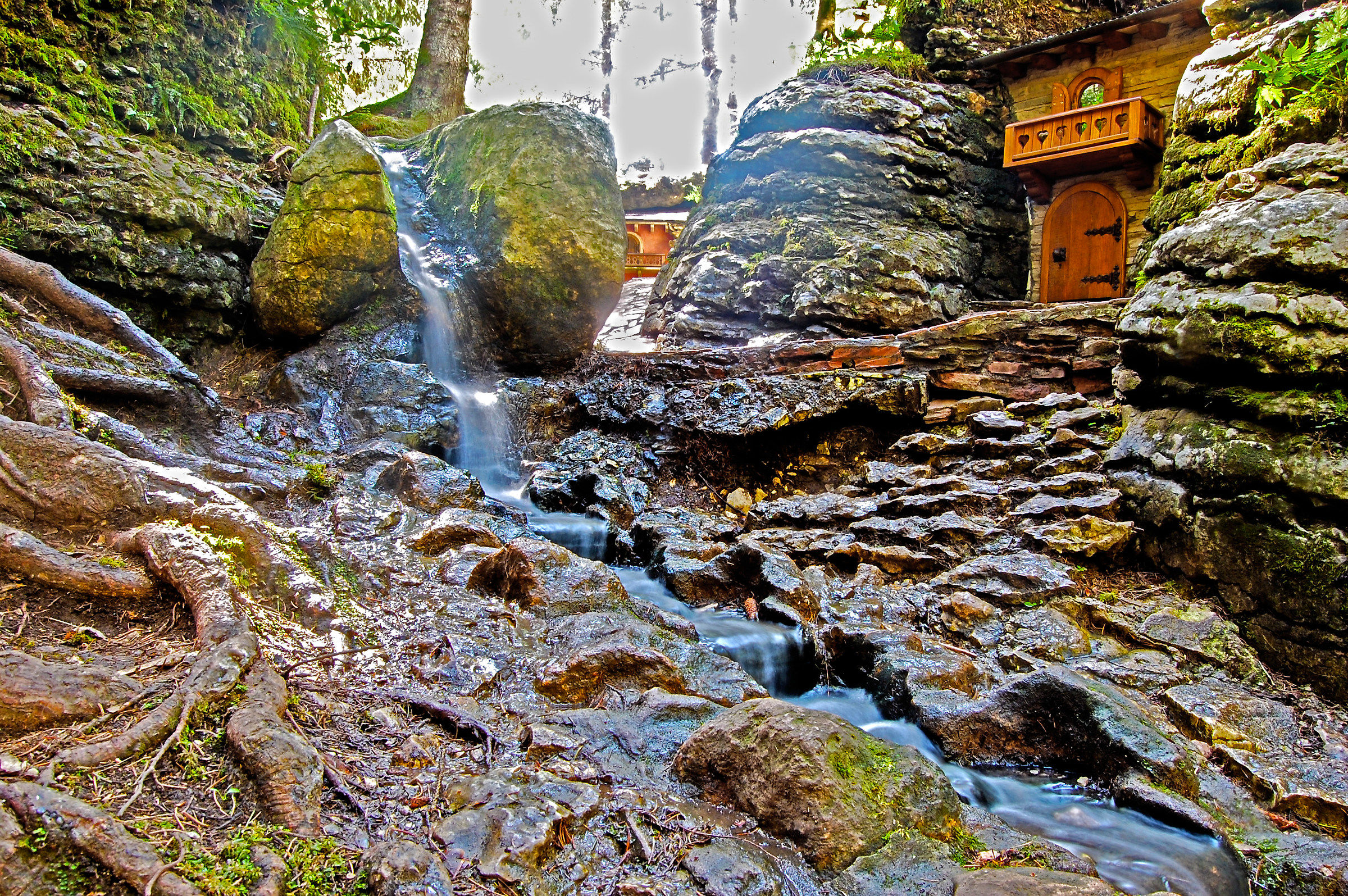 The magic of the woods of the gnomes