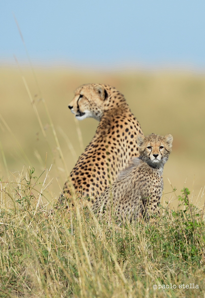 soon will be the boss