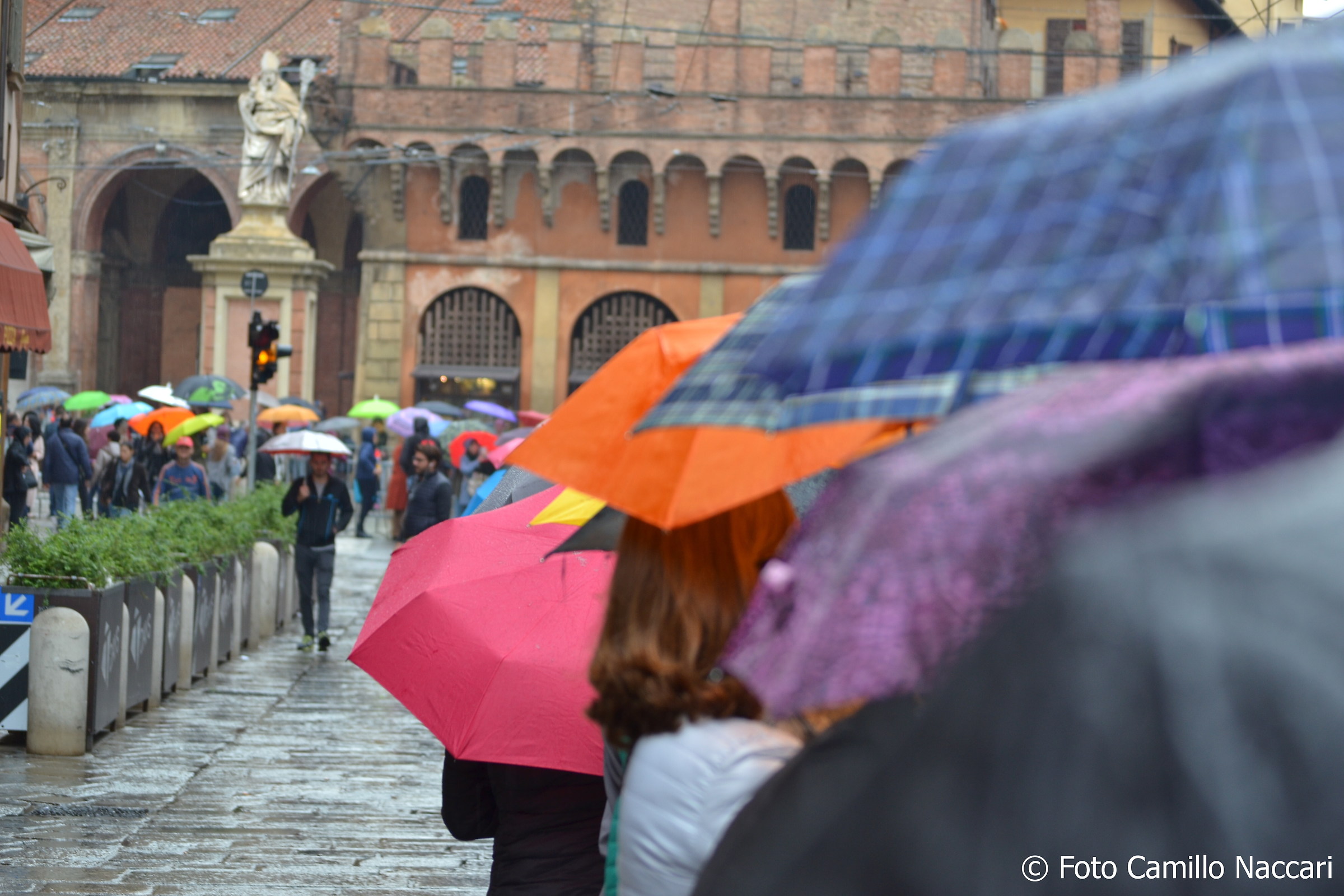 Waiting for Francesco