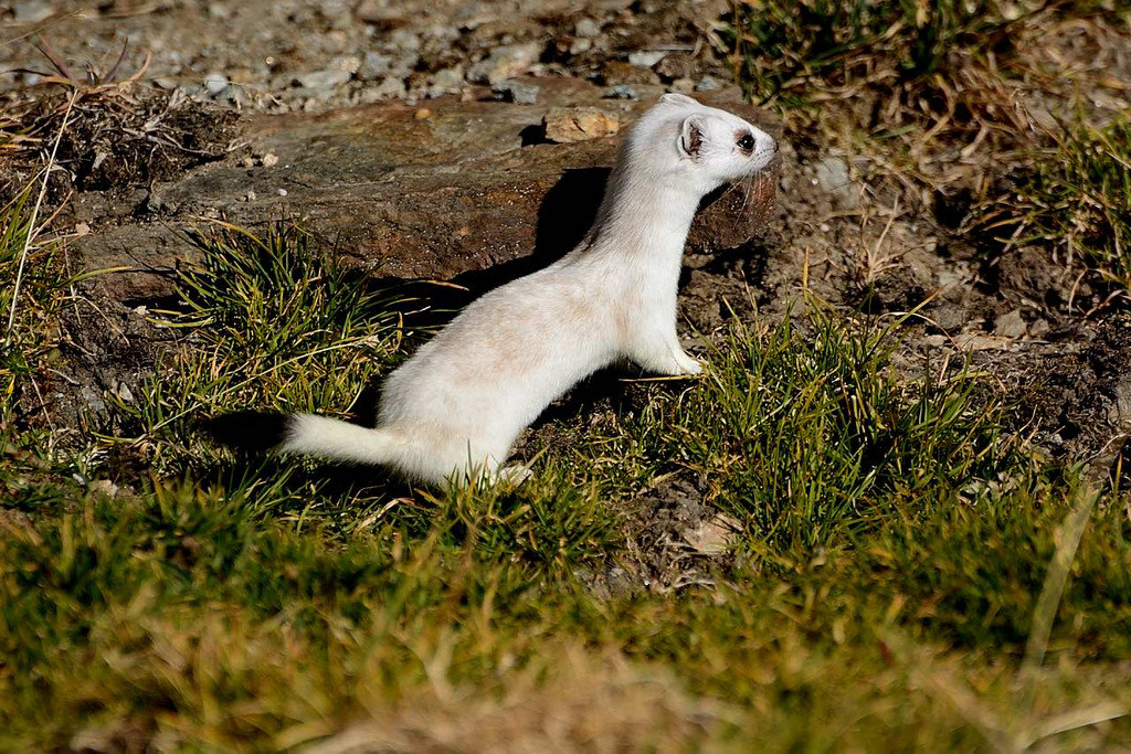 Strange situation ..