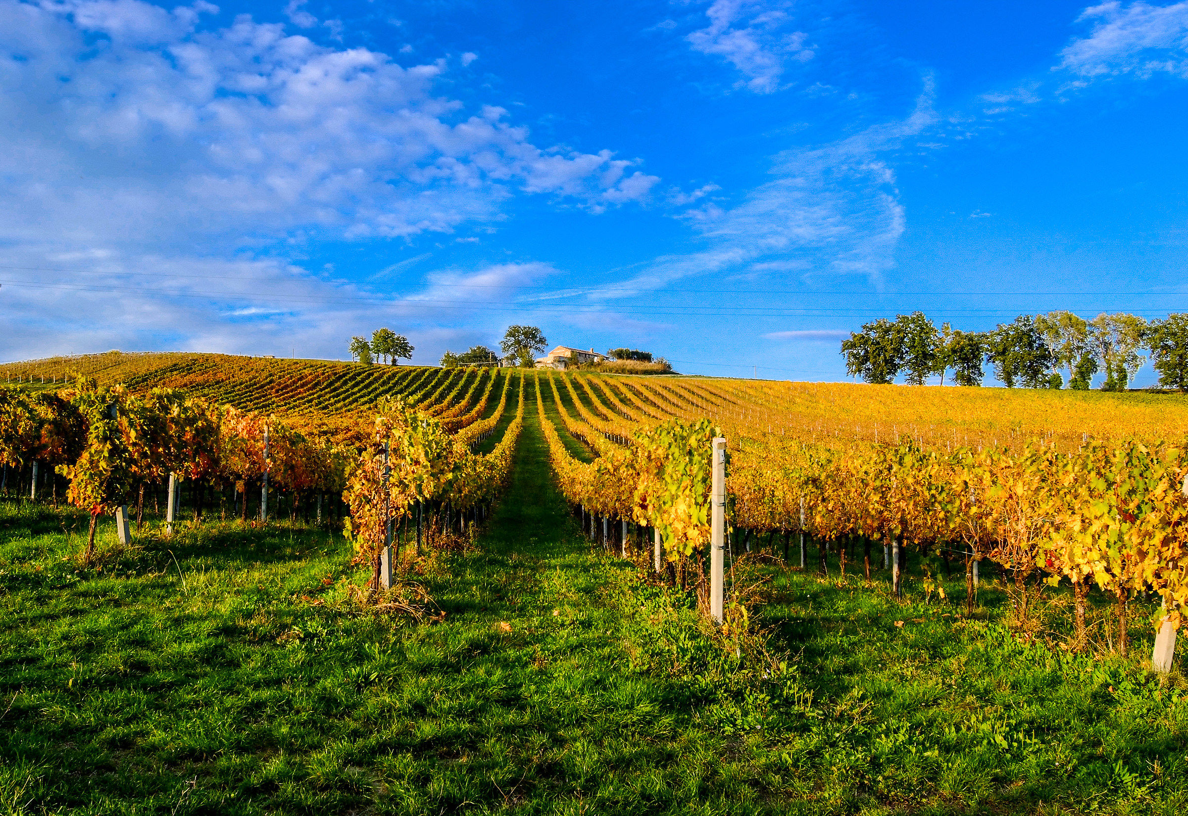 Autunno nelle colline Marchigiane (fm)