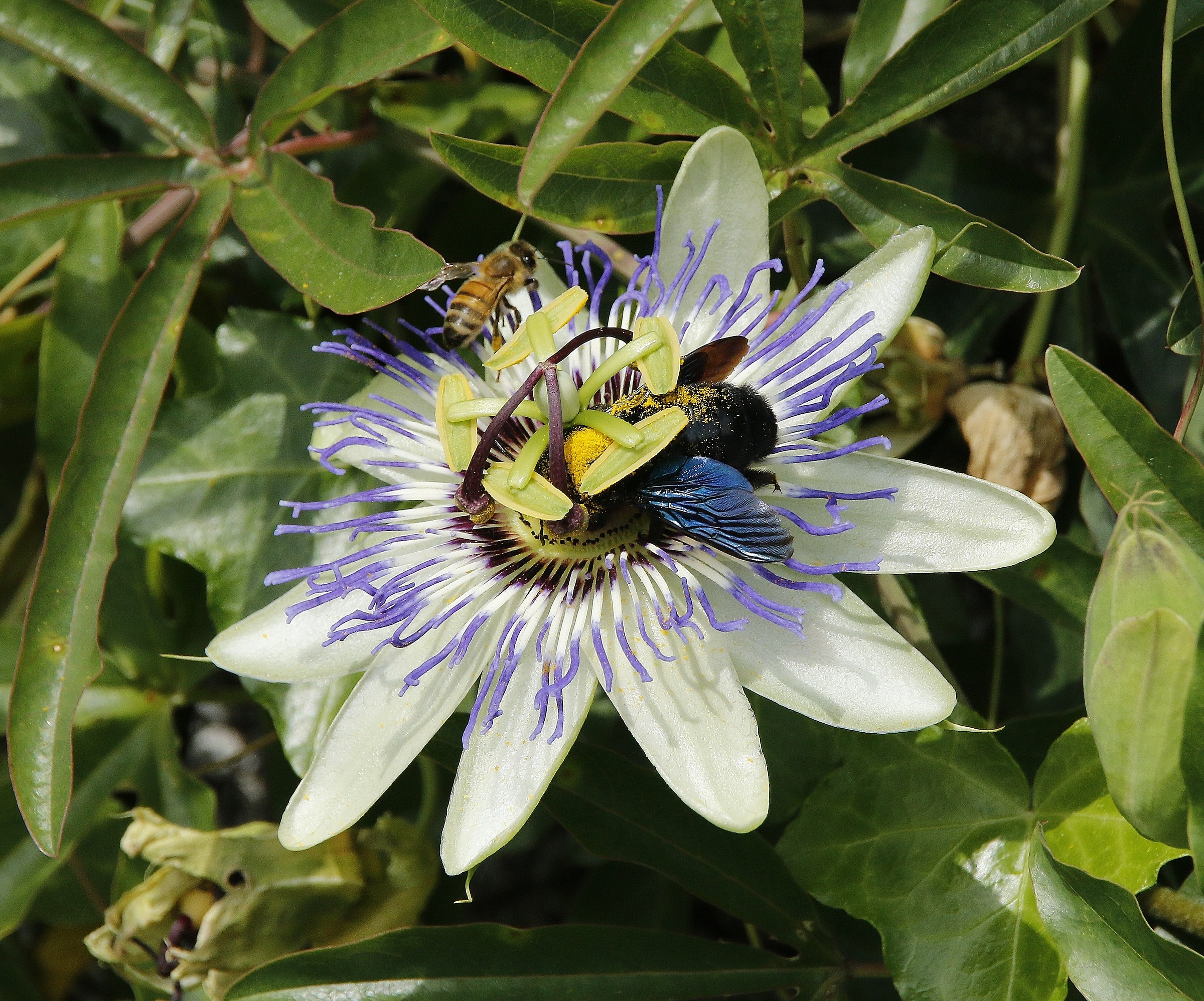 there is room for two