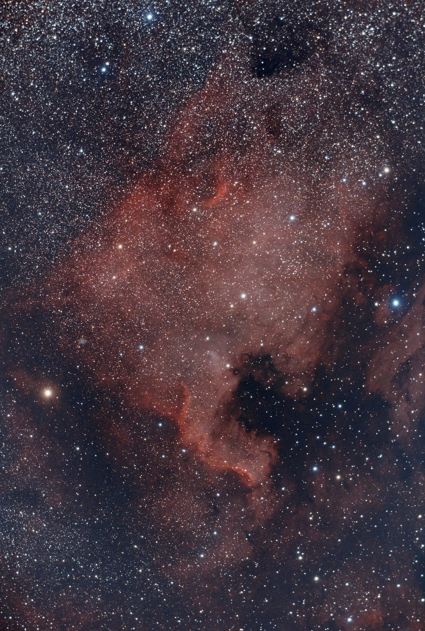 Ngc 7000 Nebulosa Nord America (Cost.Cygnus)