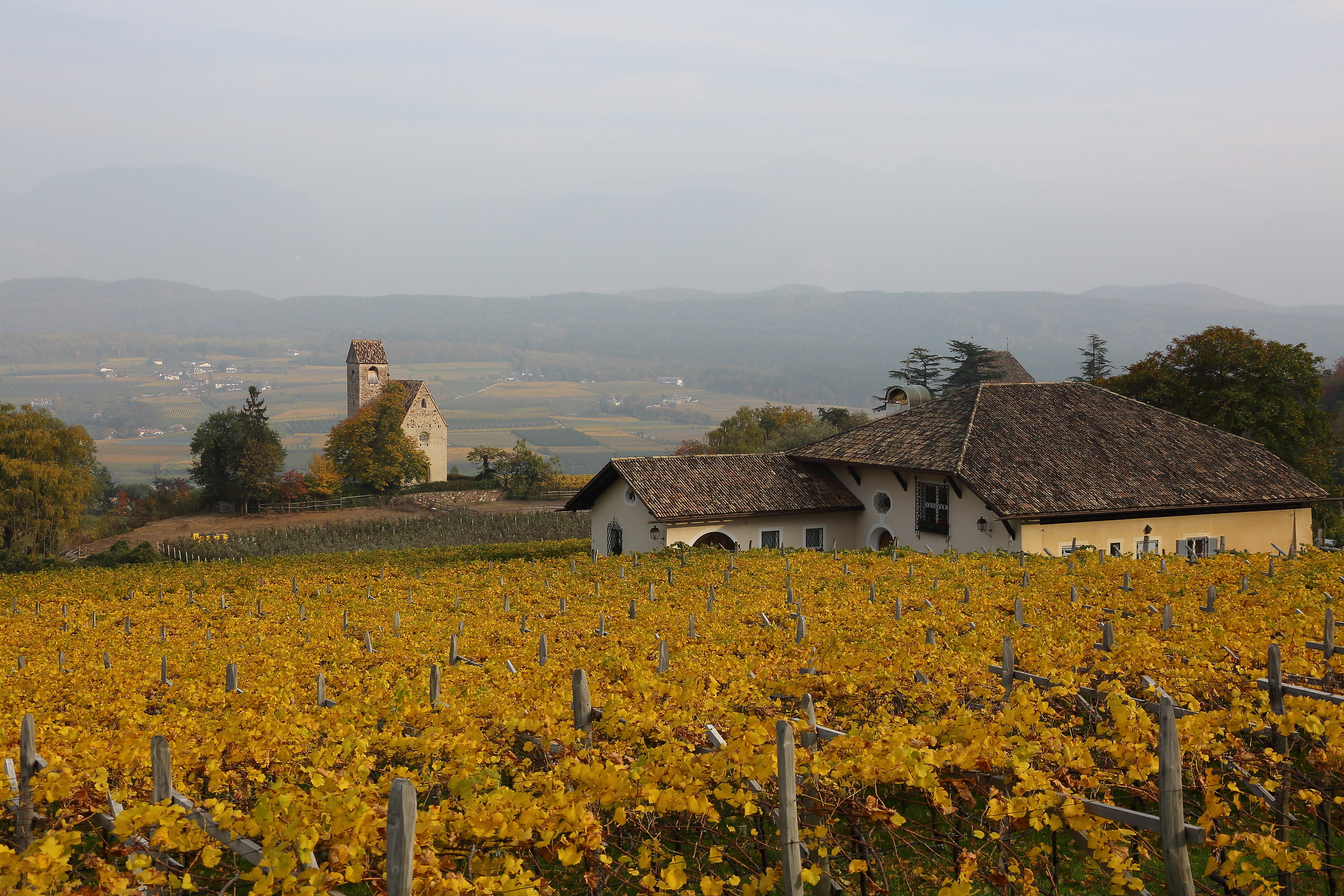 The color of autumn at S. Michele