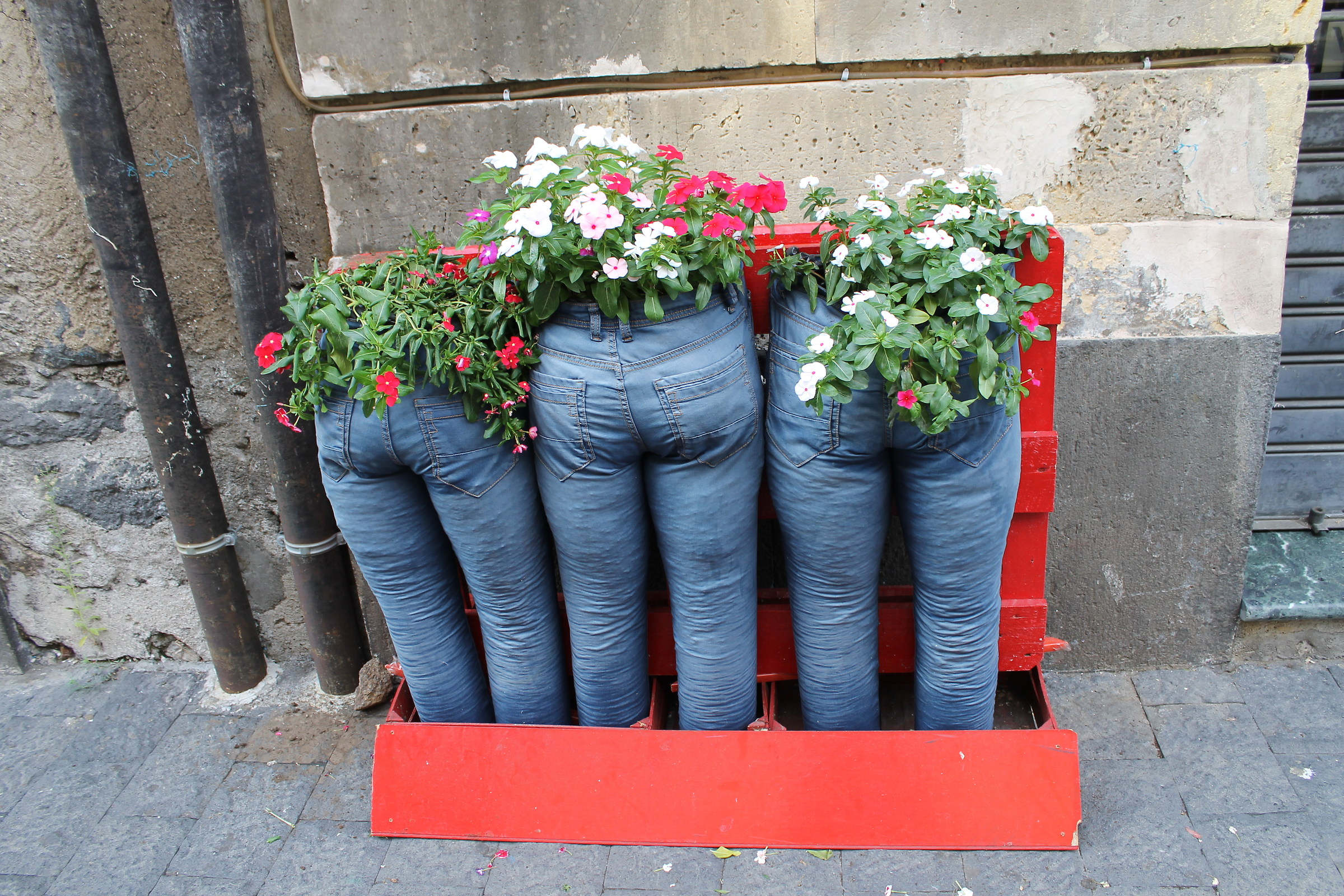Flowers Jeans
