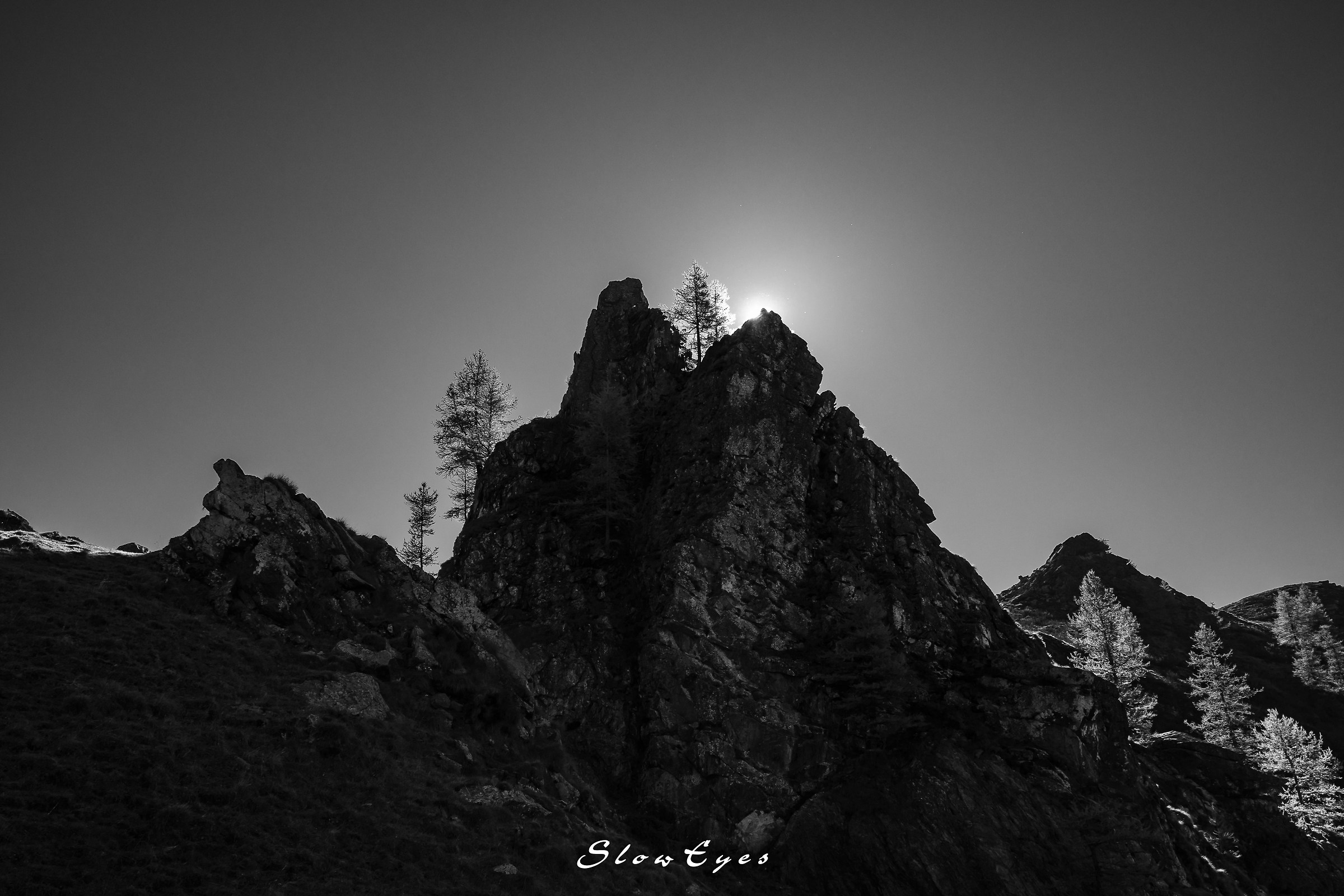 autumn in black and white